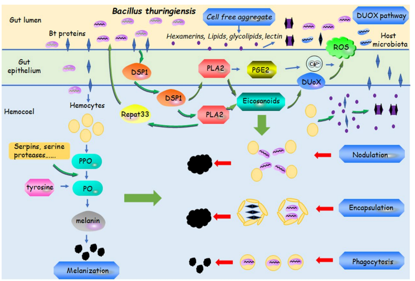 Insects 14 00151 g002 Insects 14 00151 g002