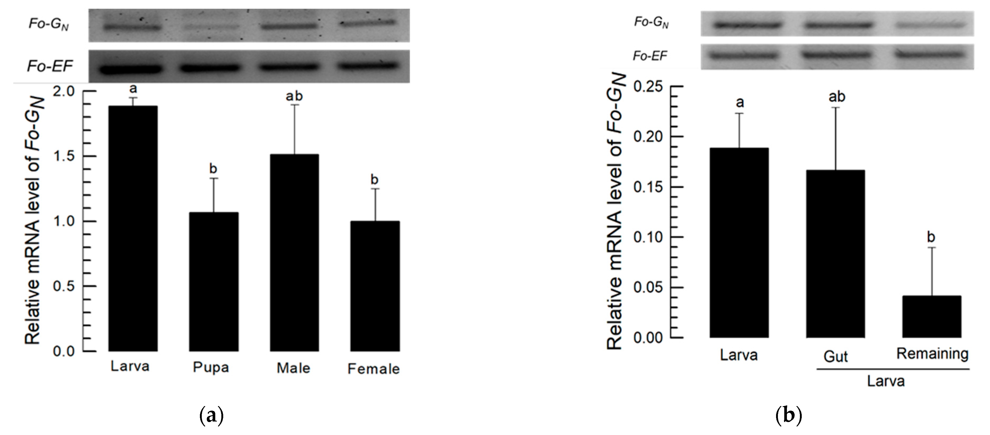 Insects 14 00154 g002a Insects 14 00154 g002a