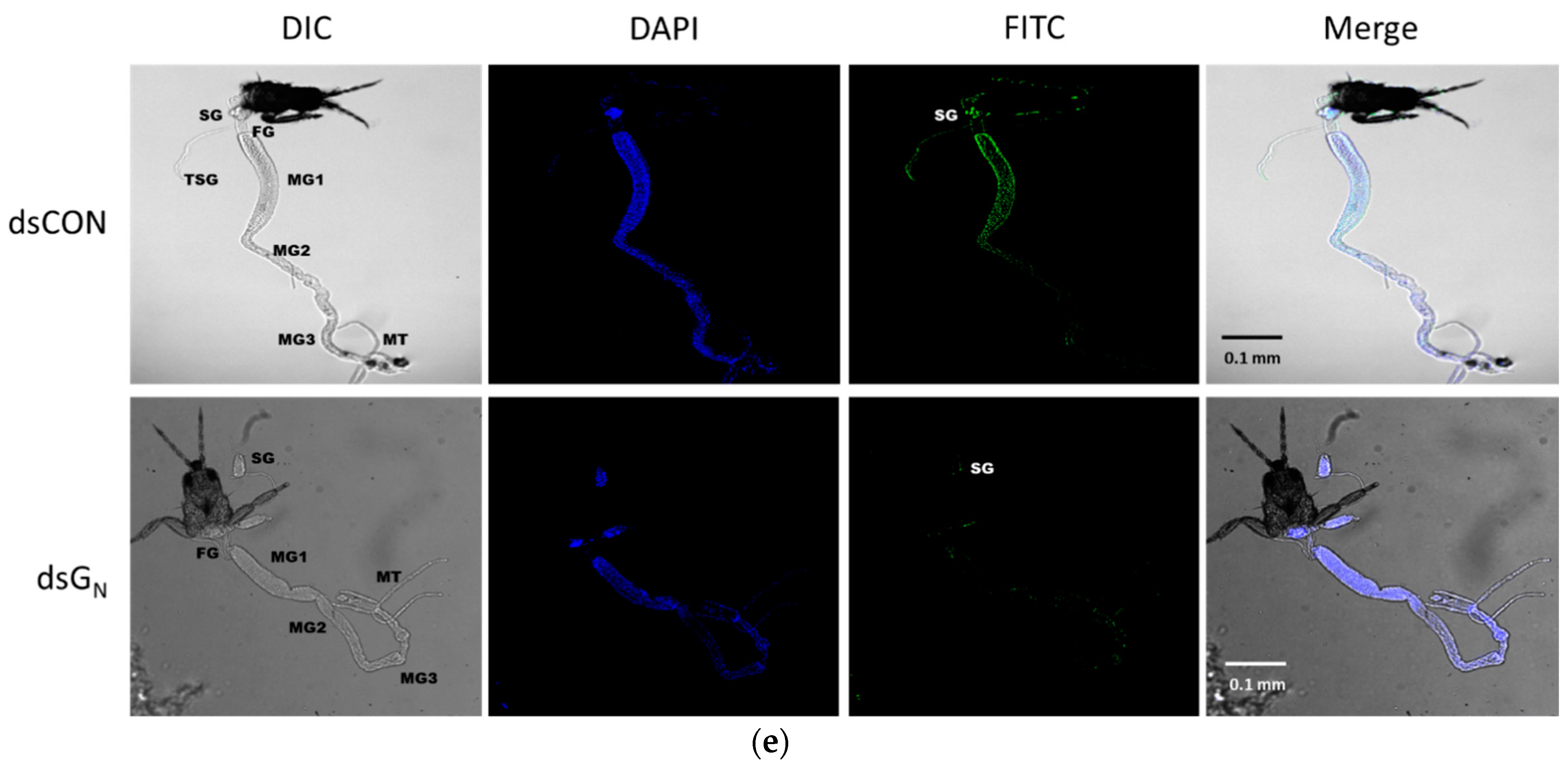 Insects 14 00154 g003b Insects 14 00154 g003b