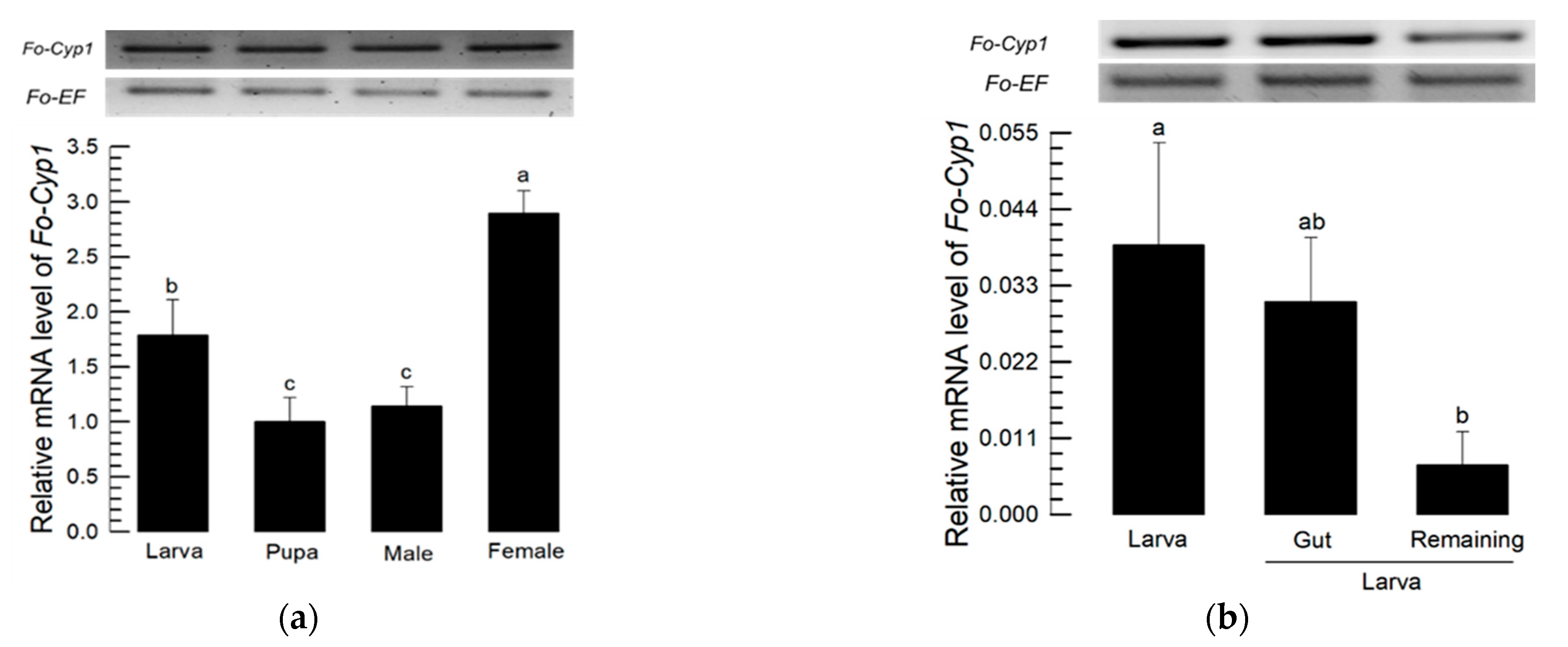 Insects 14 00154 g005a Insects 14 00154 g005a