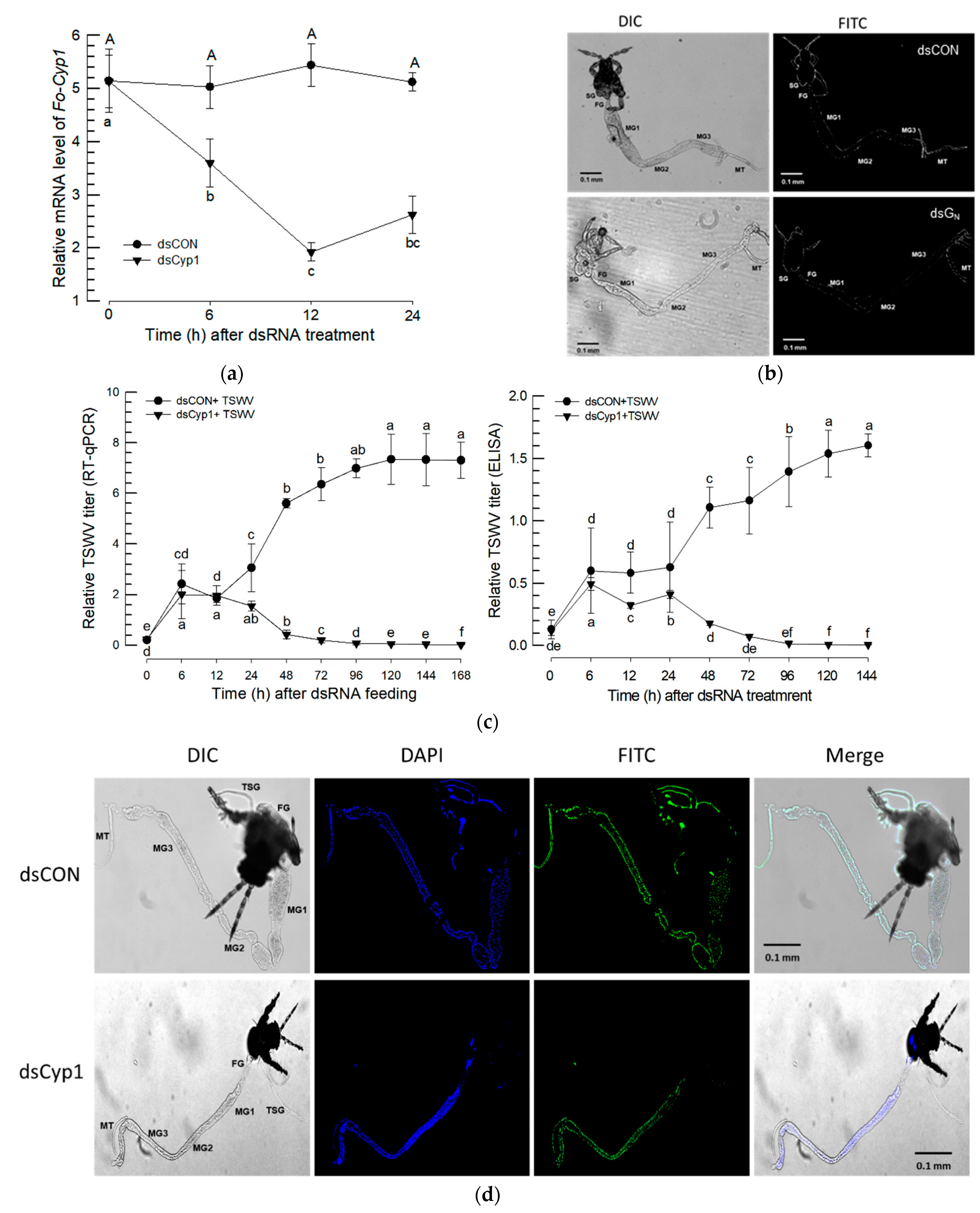 Insects 14 00154 g006a Insects 14 00154 g006a