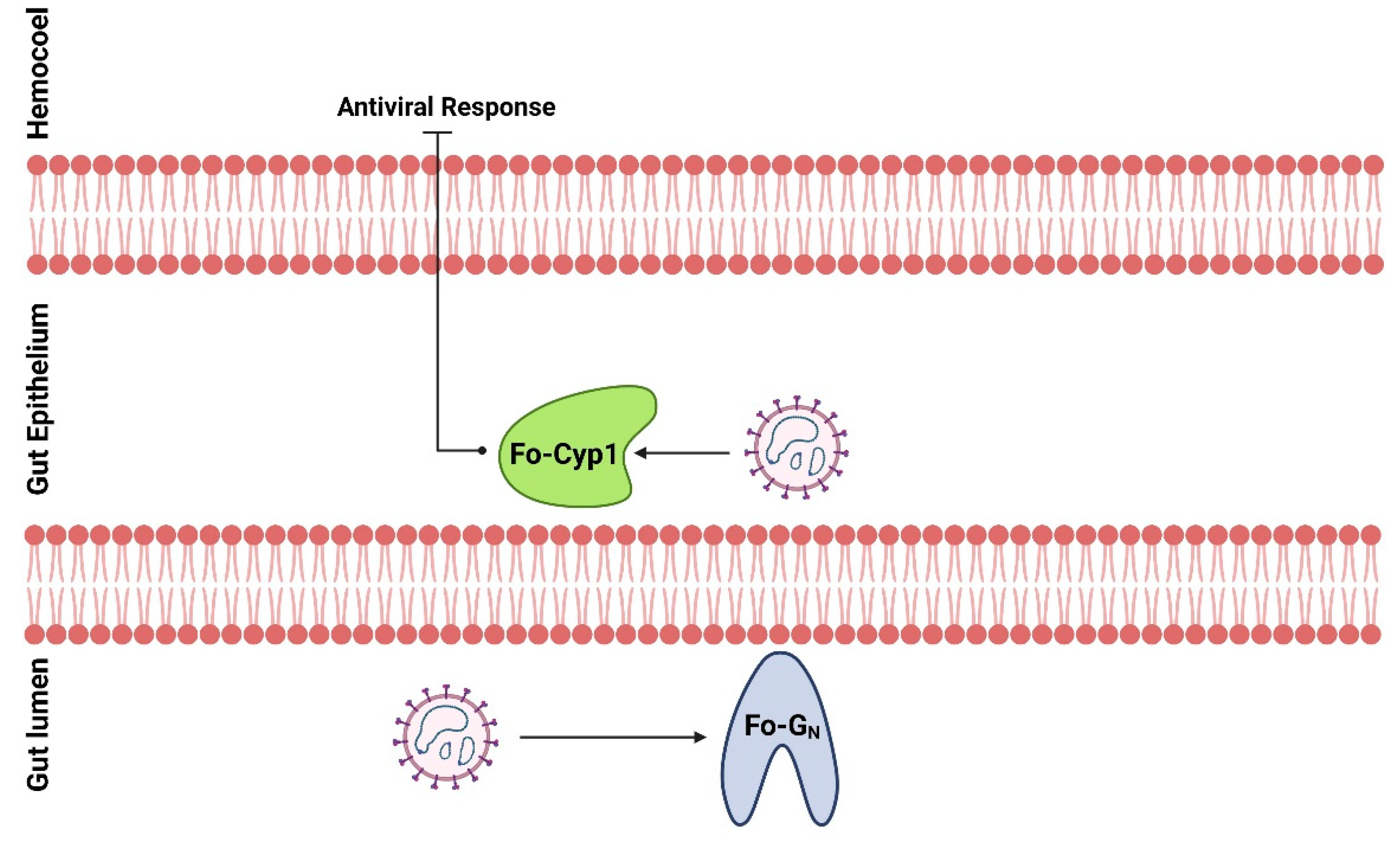 Insects 14 00154 g007 Insects 14 00154 g007