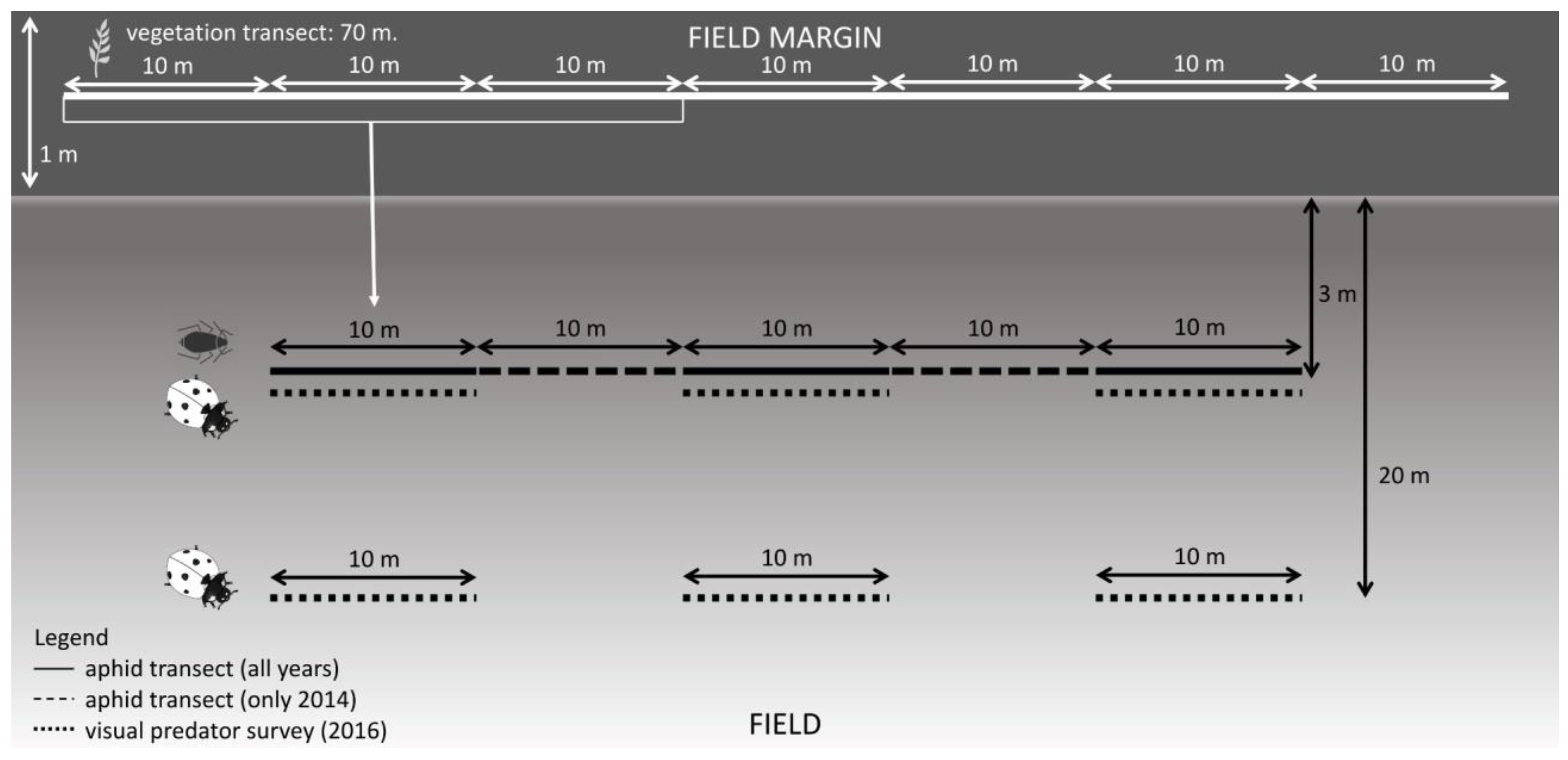 Insects 14 00156 g002