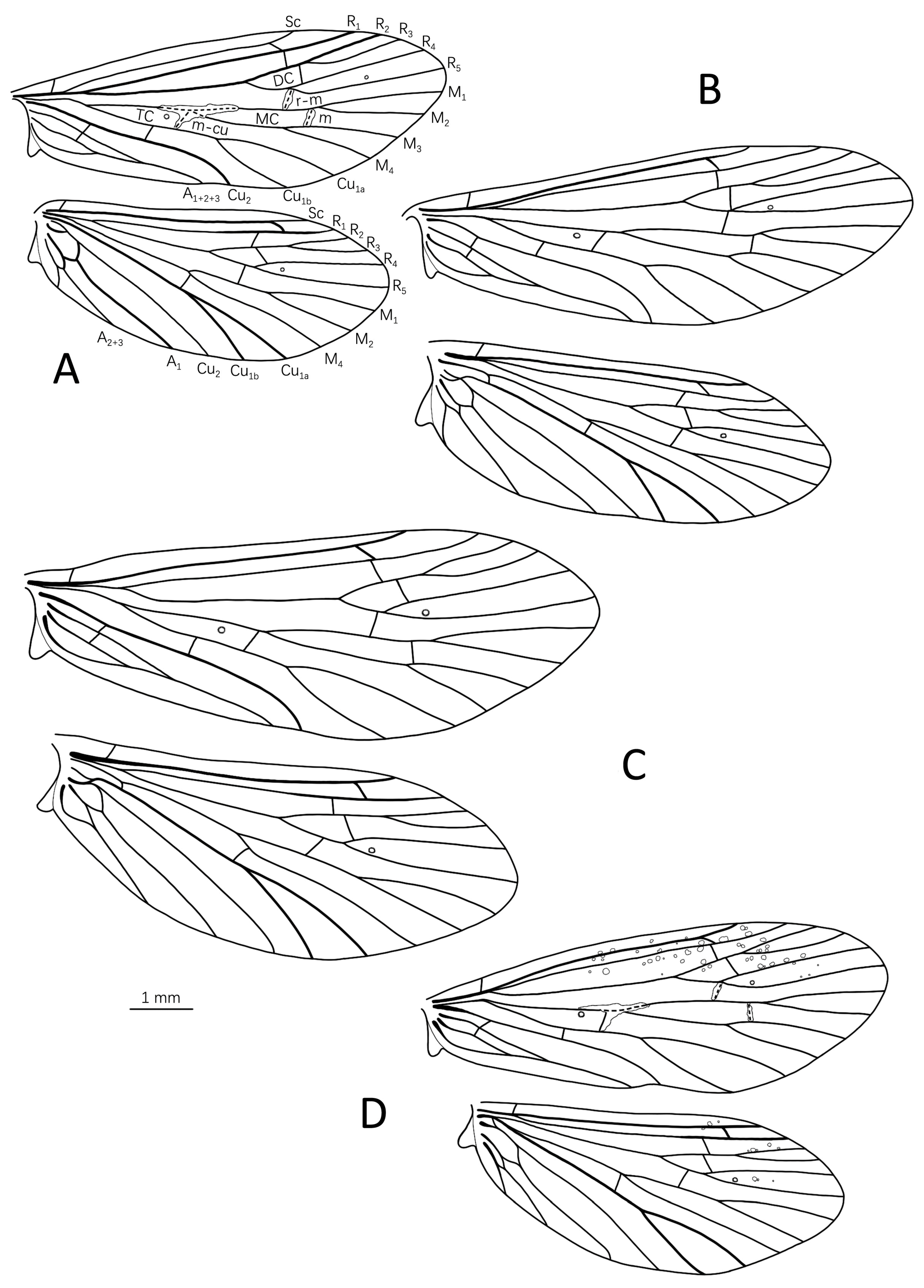 Insects 14 00158 g007