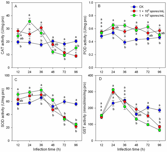 Effects of the Entomopathogenic Fungus Mucor hiemalis BO-1 on the