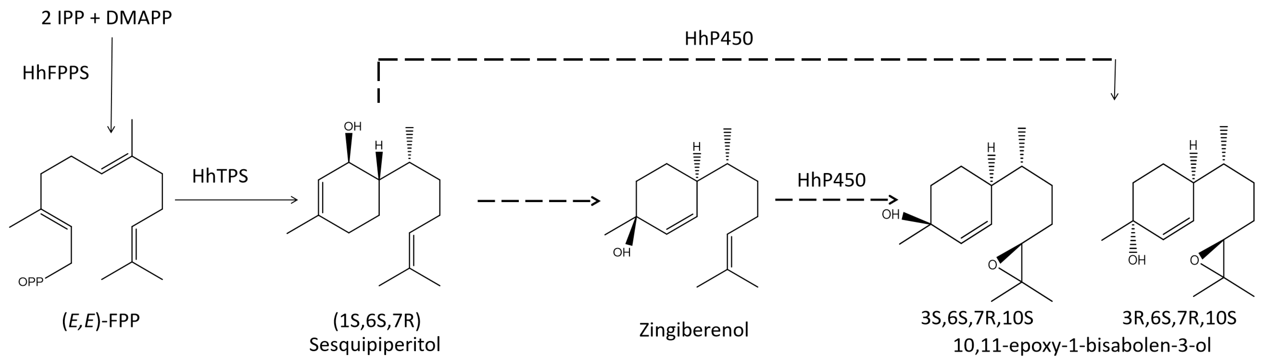Insects 14 00163 g001