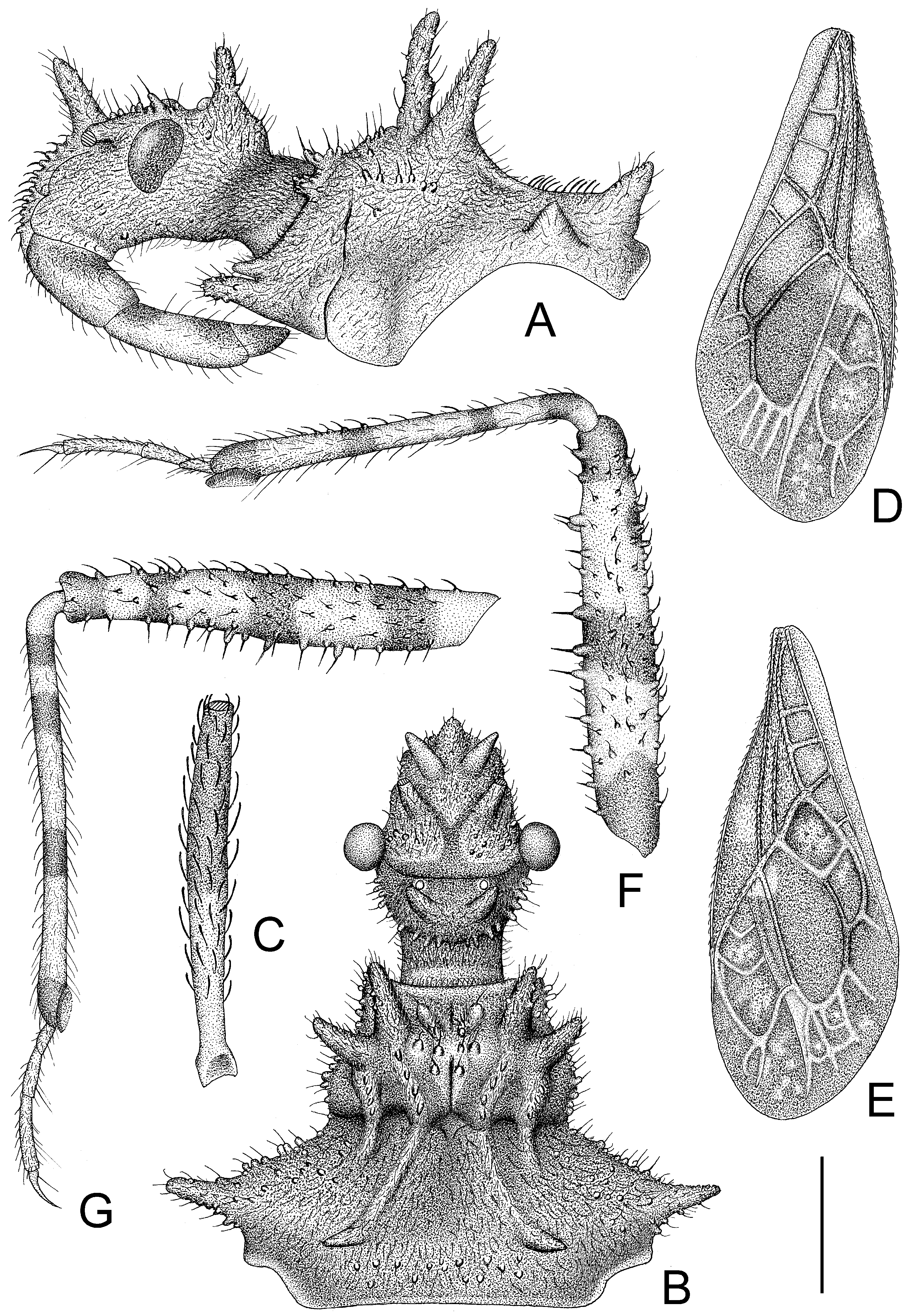 Insects 14 00165 g002 550