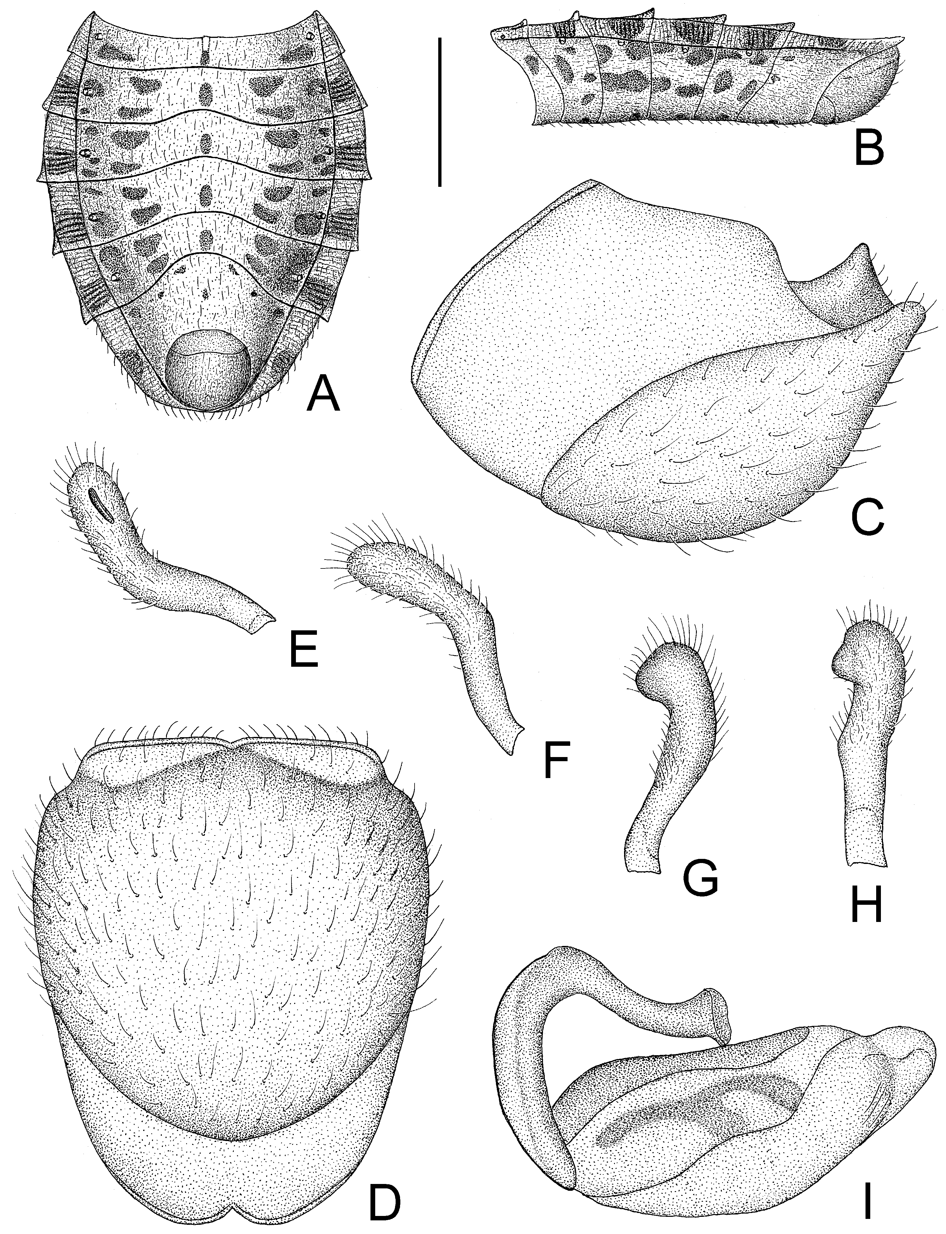 Insects 14 00165 g003 550