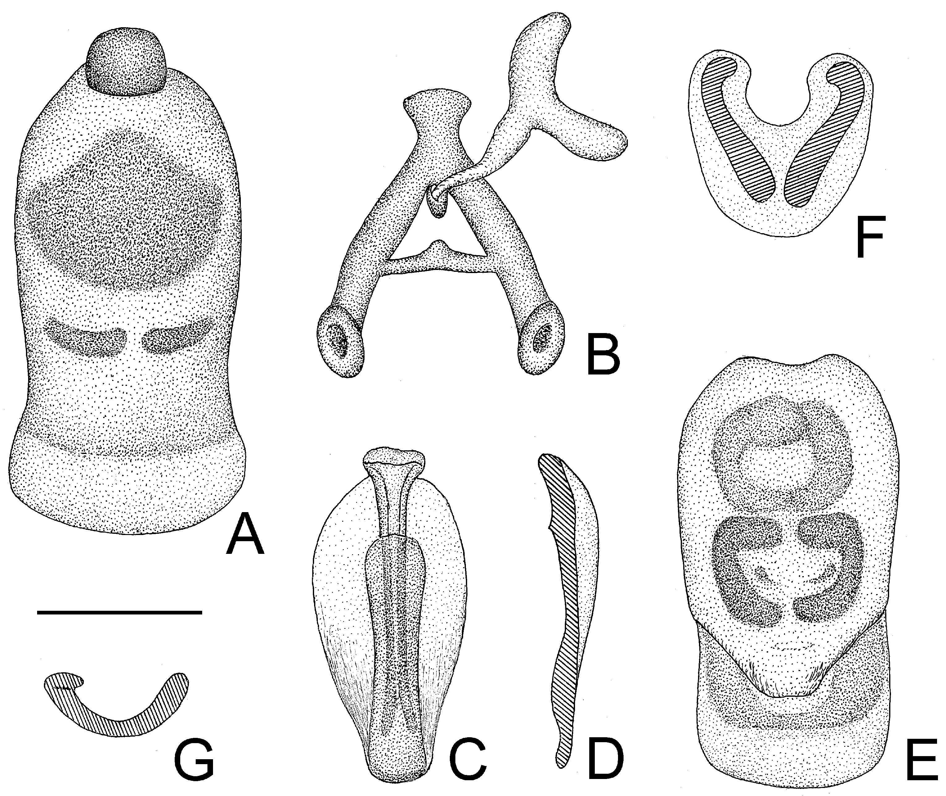 Insects 14 00165 g004 550