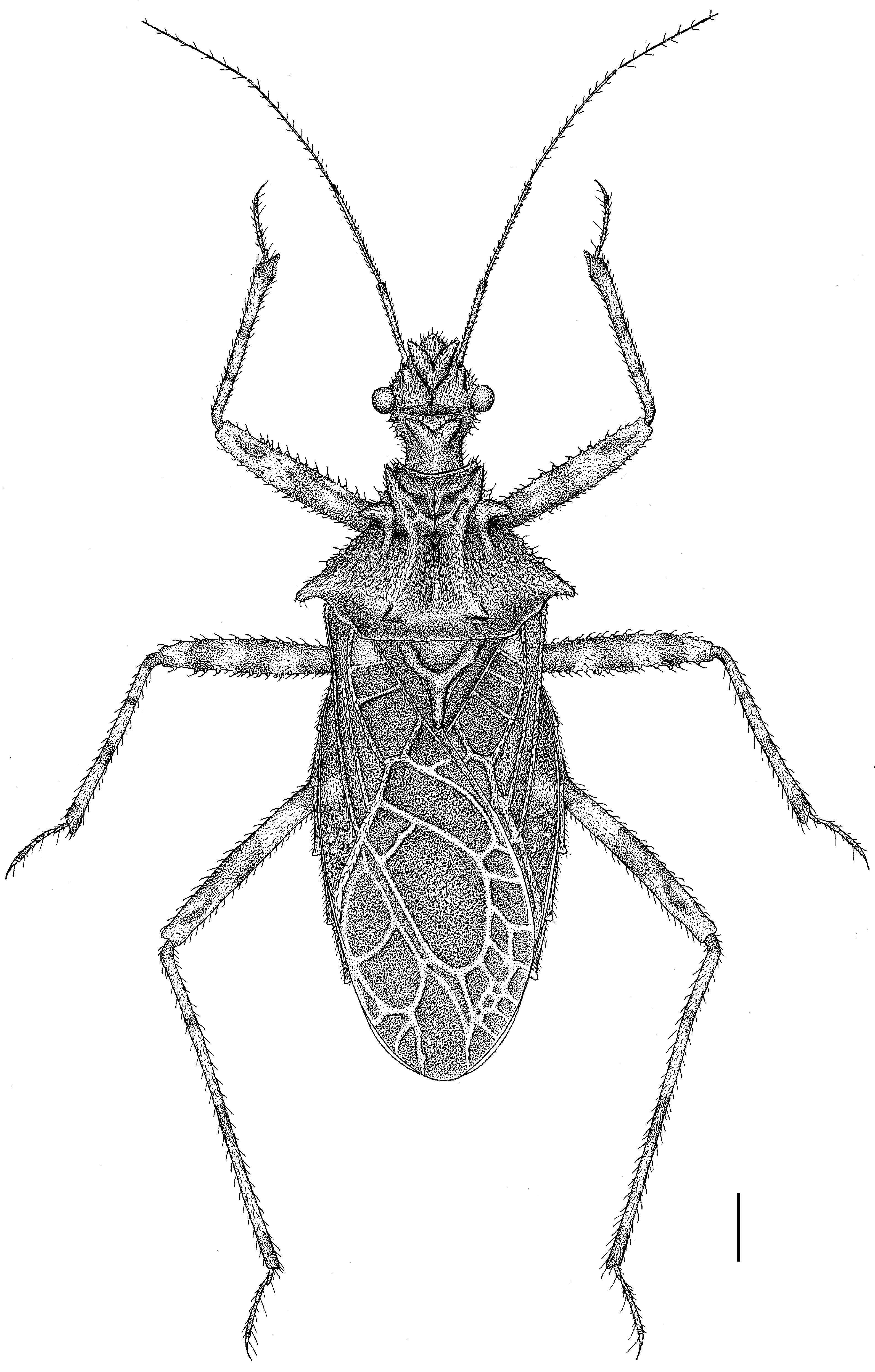 Insects 14 00165 g005 550