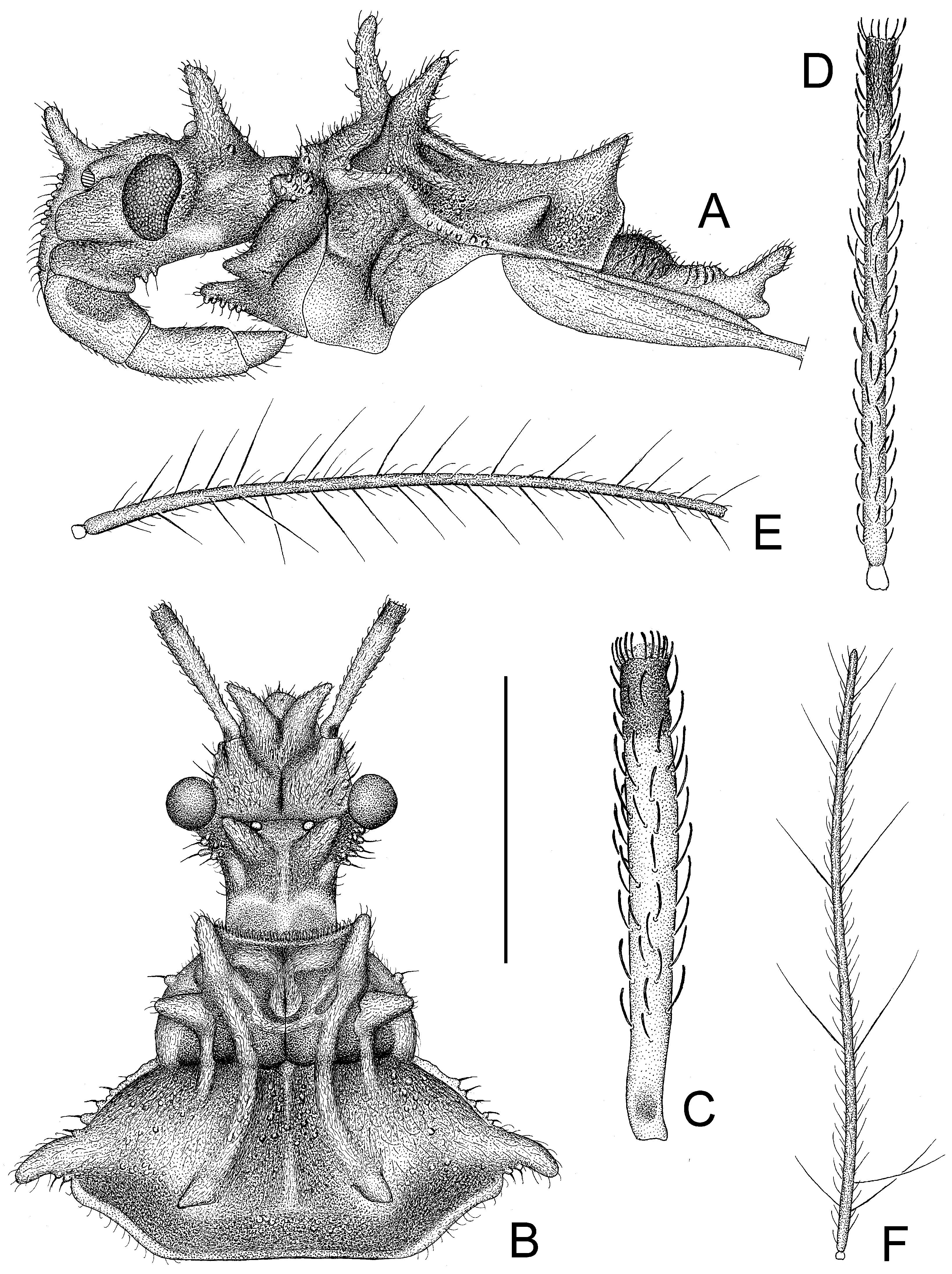 Insects 14 00165 g006 550