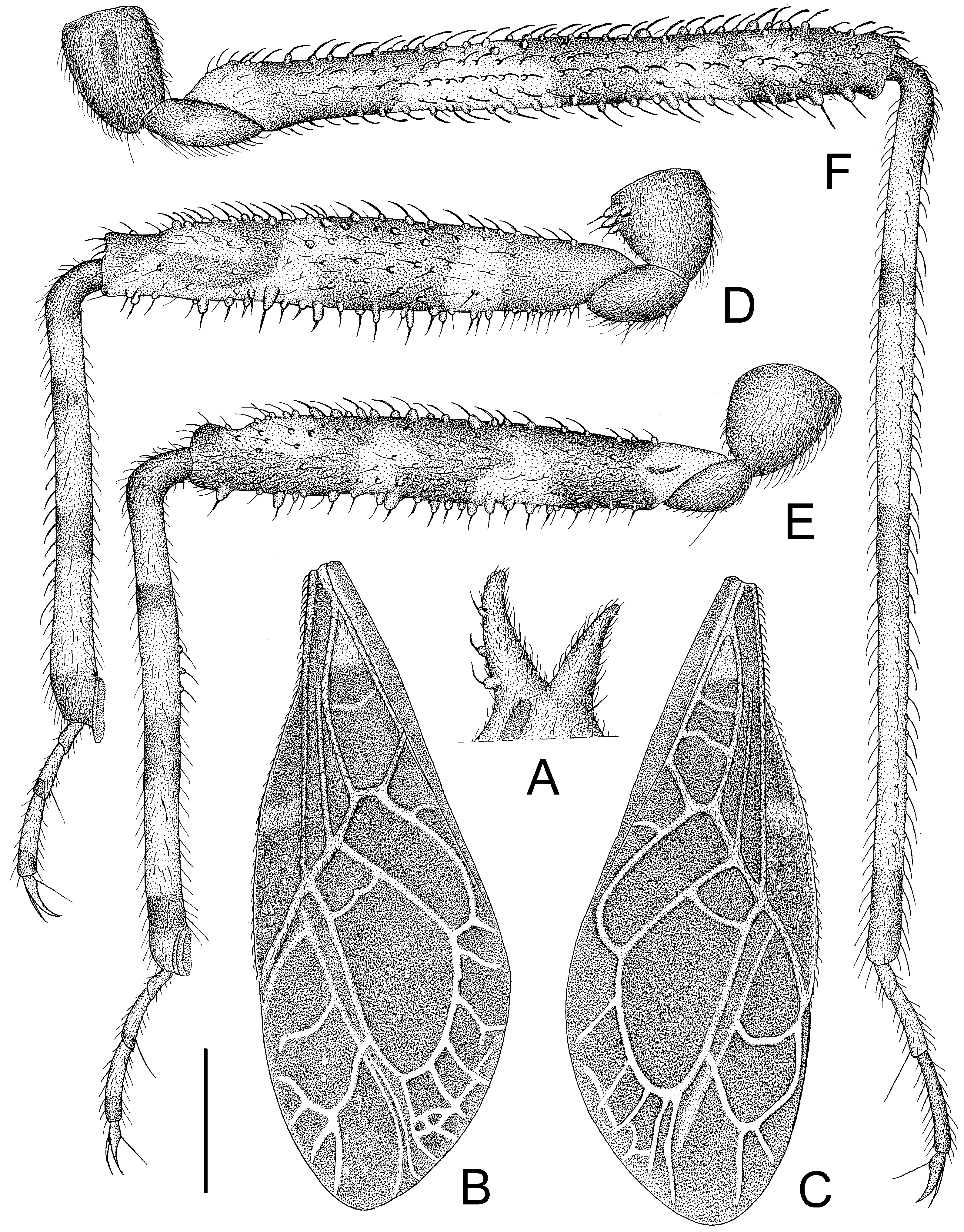 Insects 14 00165 g007 550