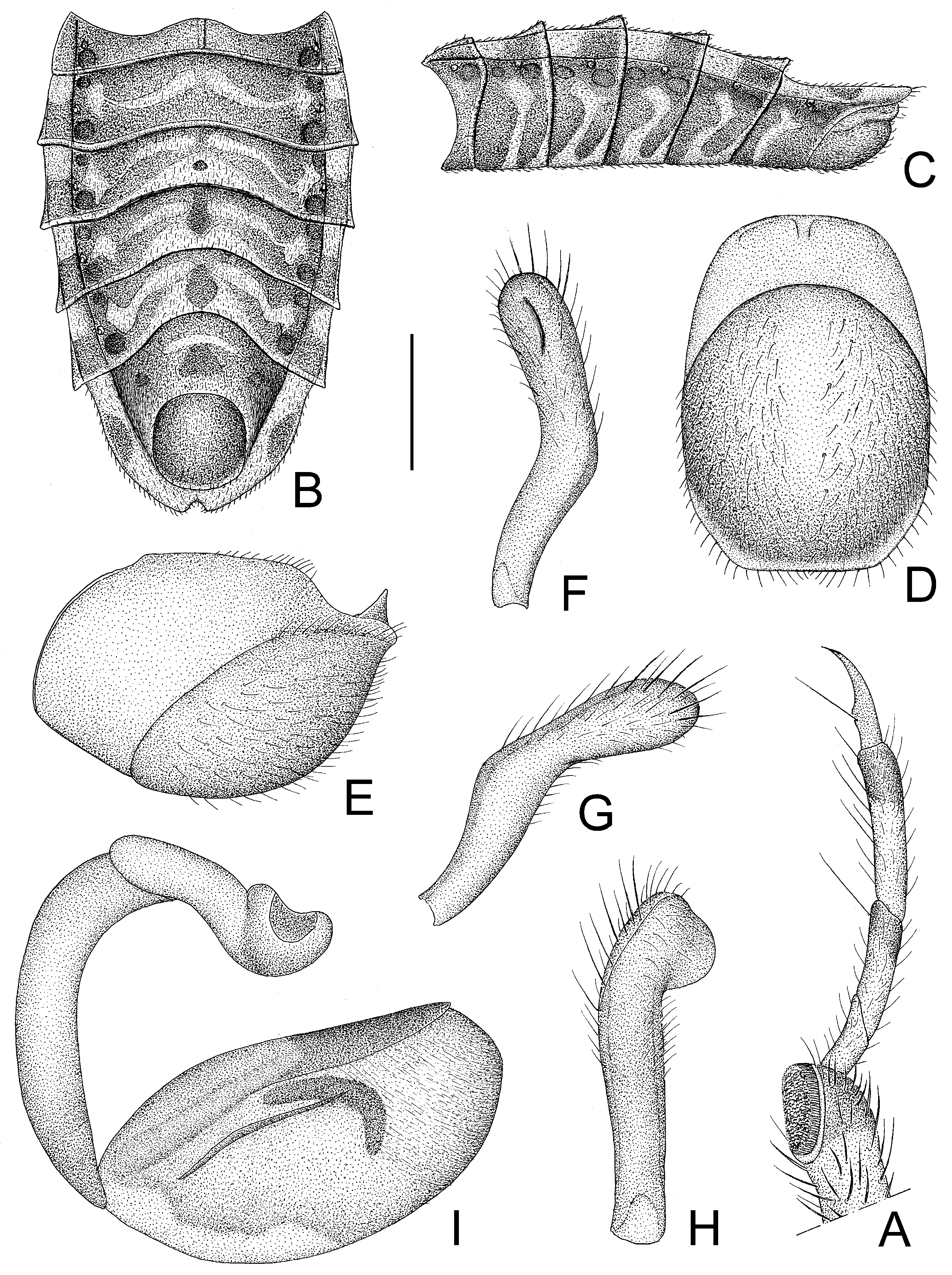 Insects 14 00165 g008 550