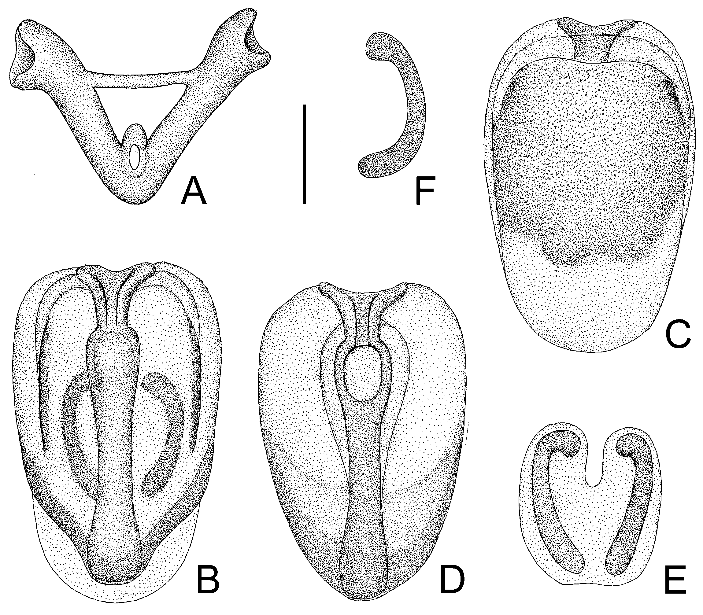 Insects 14 00165 g009 550