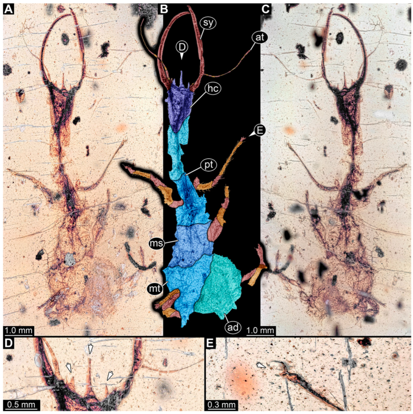 Insects 14 00170 g004