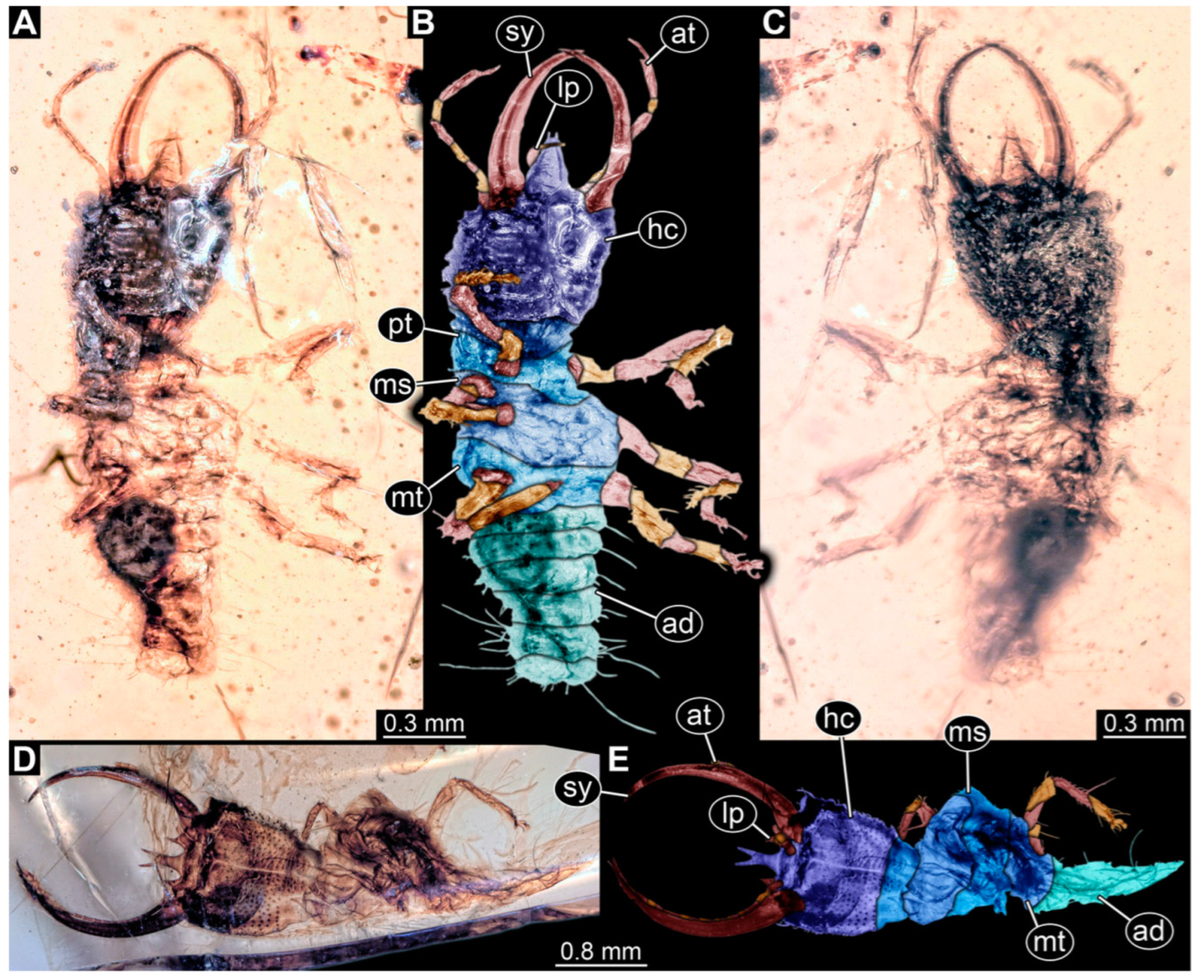 Insects 14 00170 g007