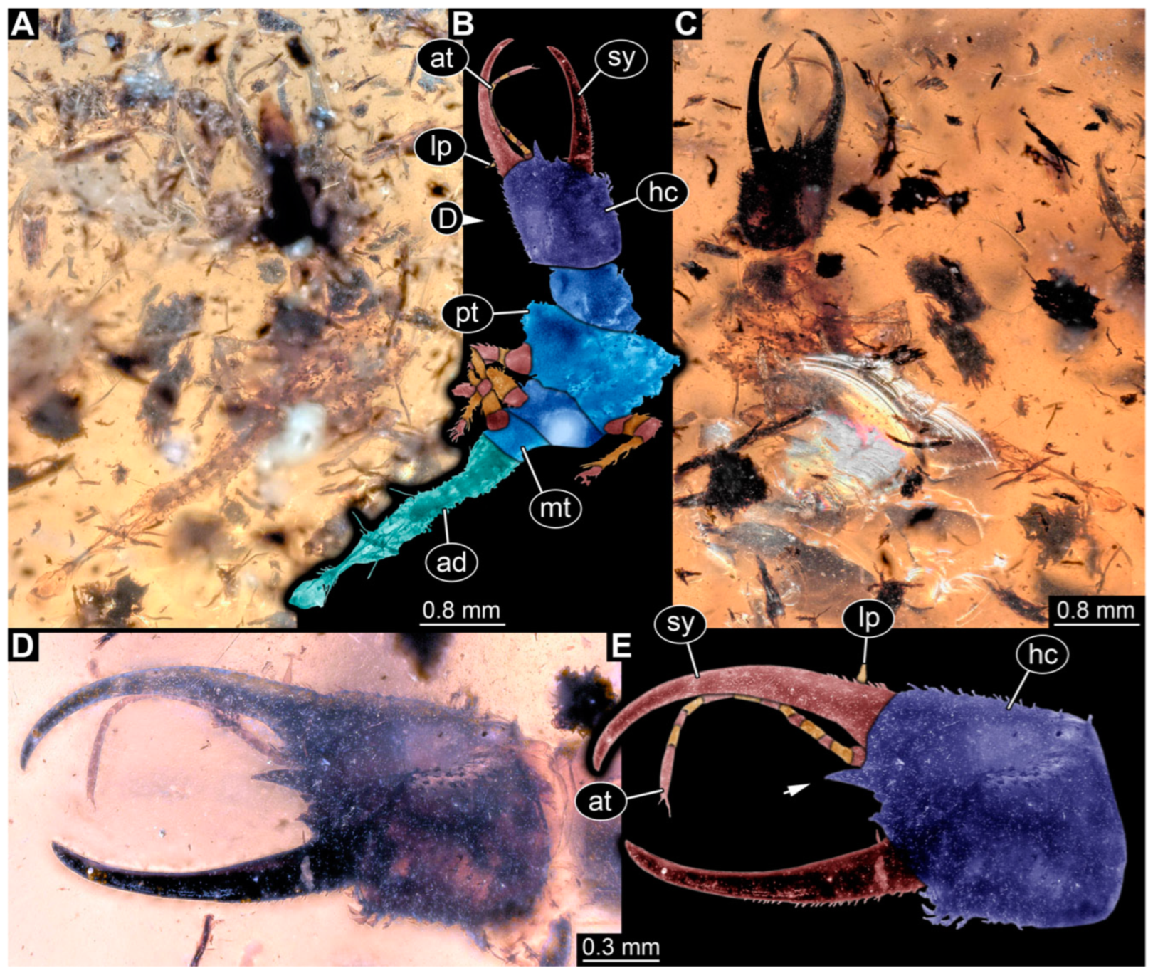 Insects 14 00170 g009