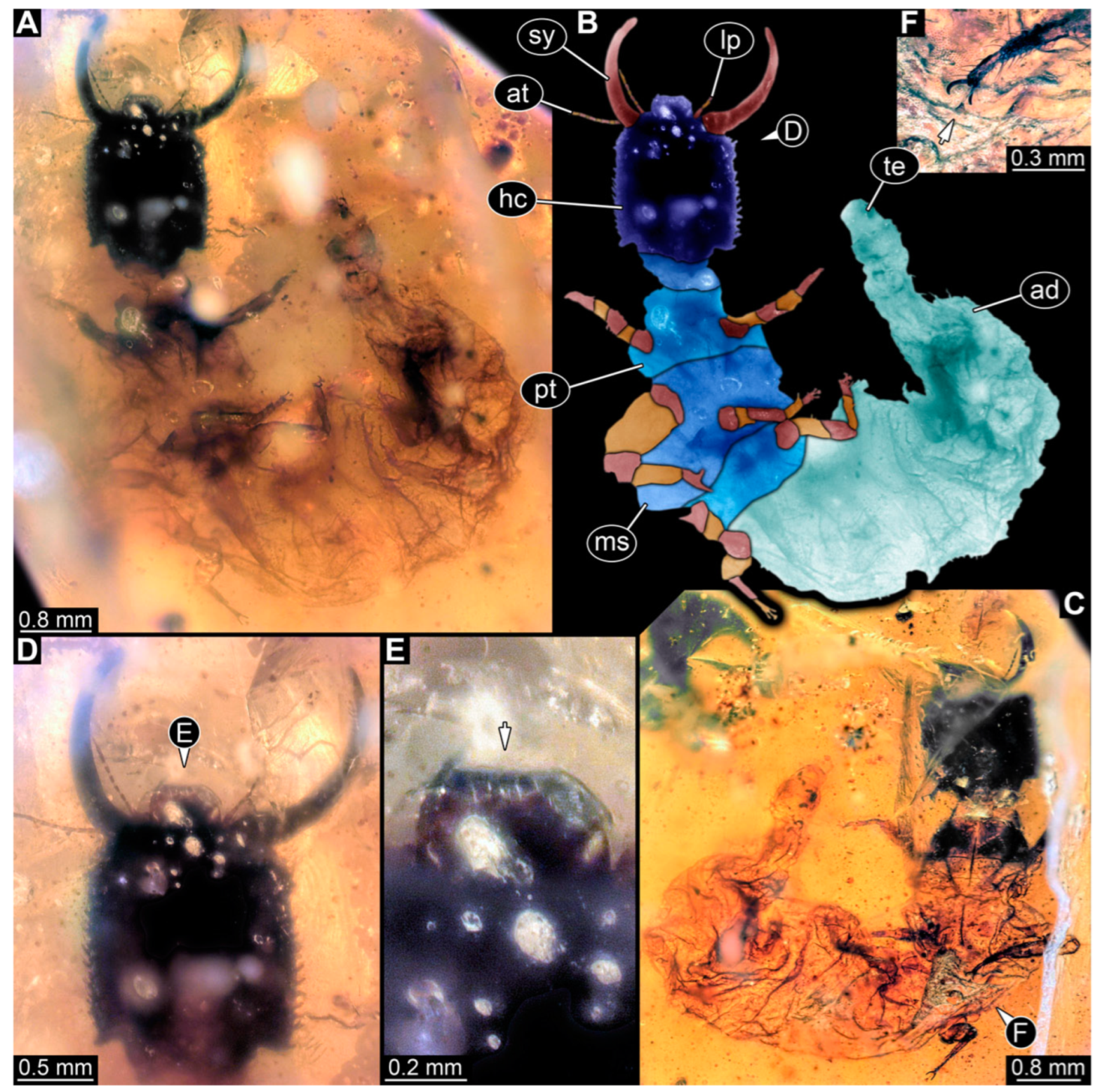Insects 14 00170 g015