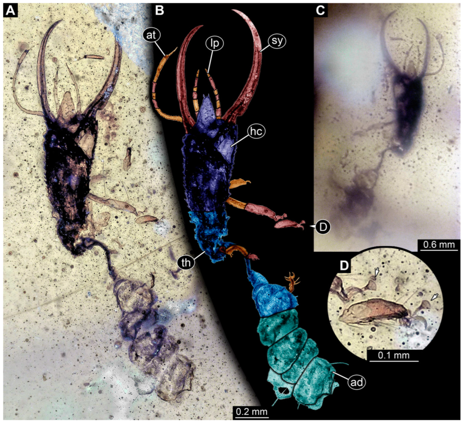 Insects 14 00170 g024