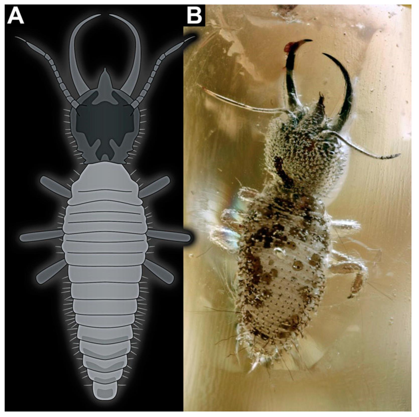 Insects 14 00170 g030