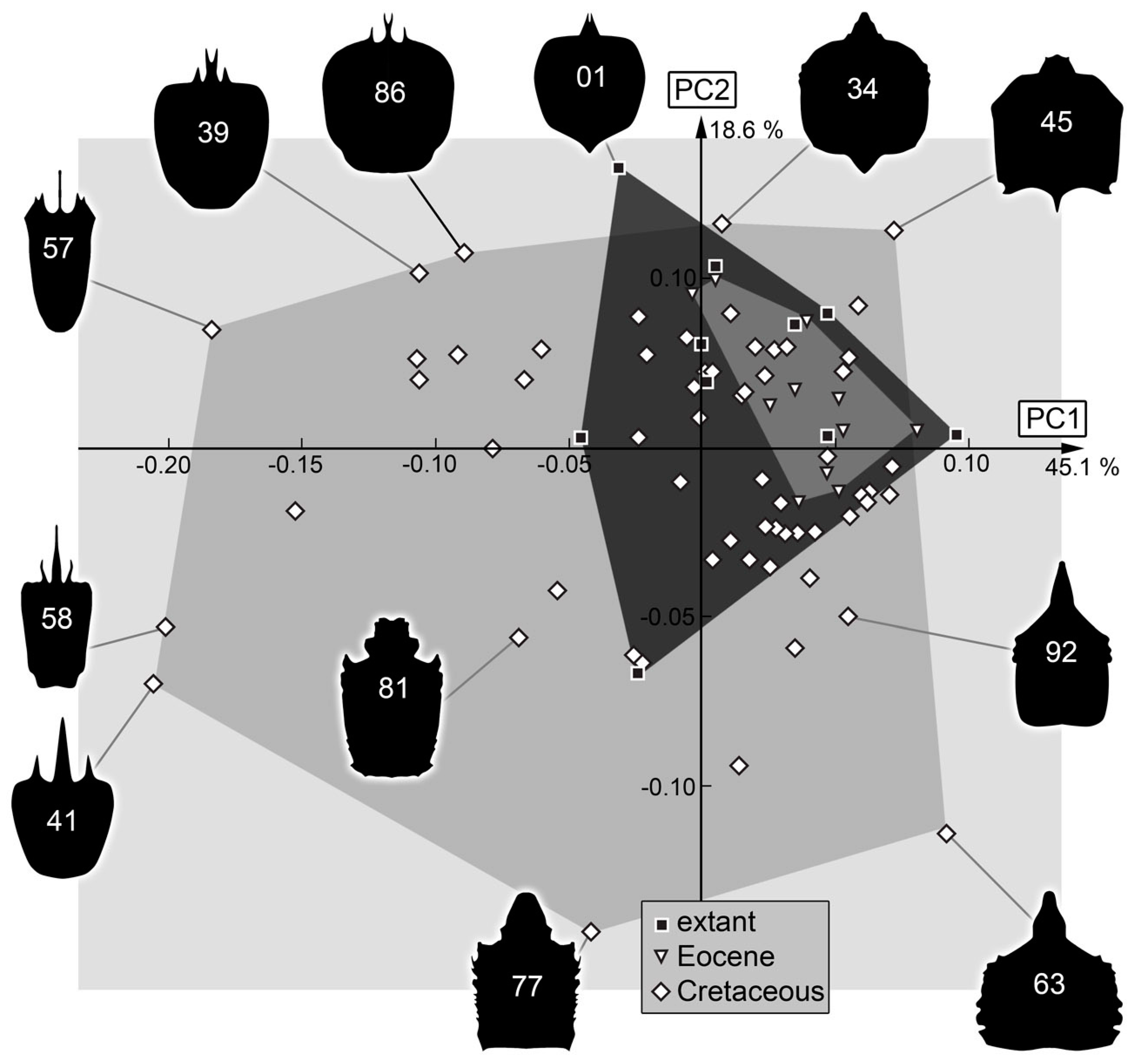 Insects 14 00170 g034