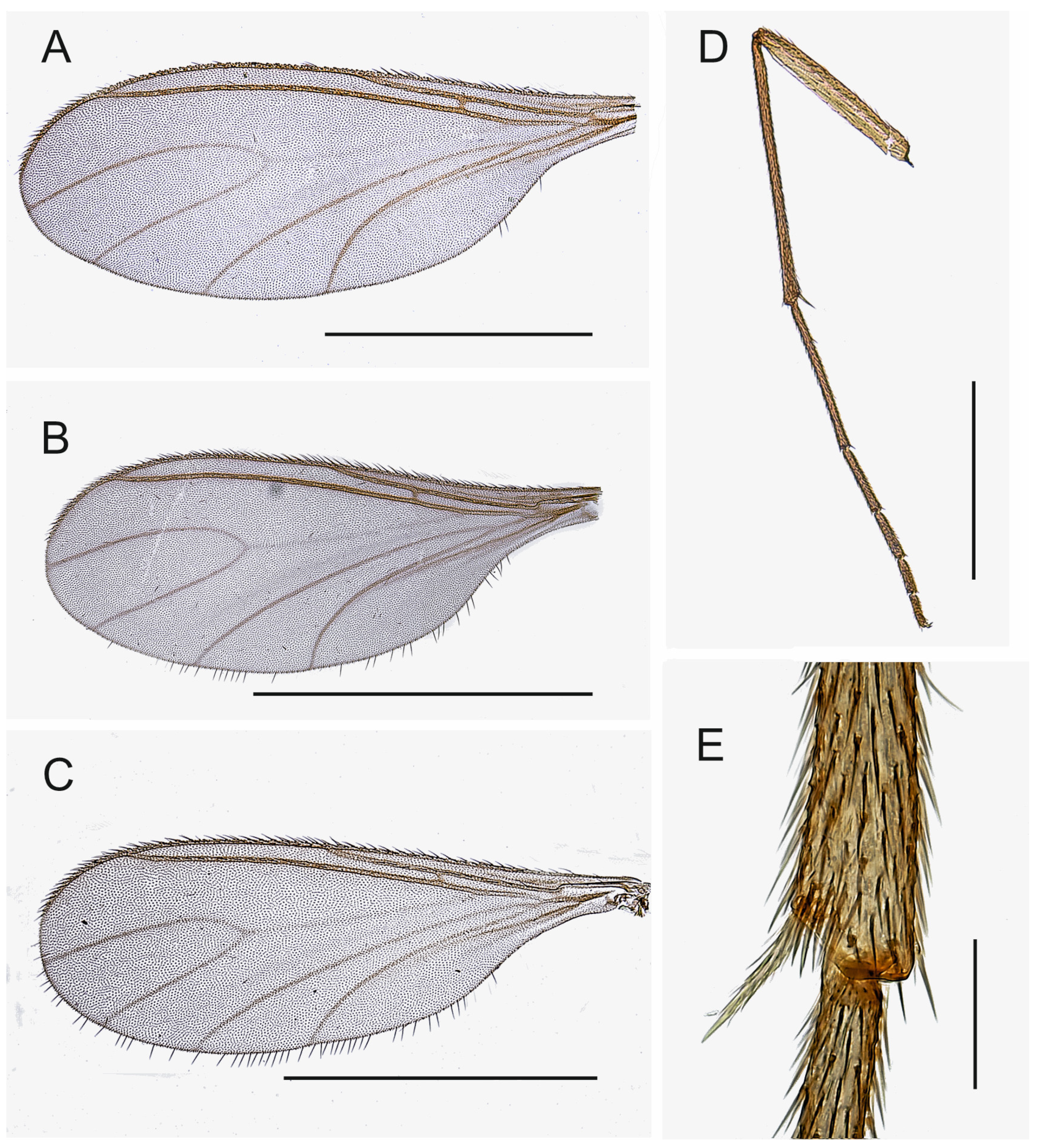 Insects 14 00173 g003