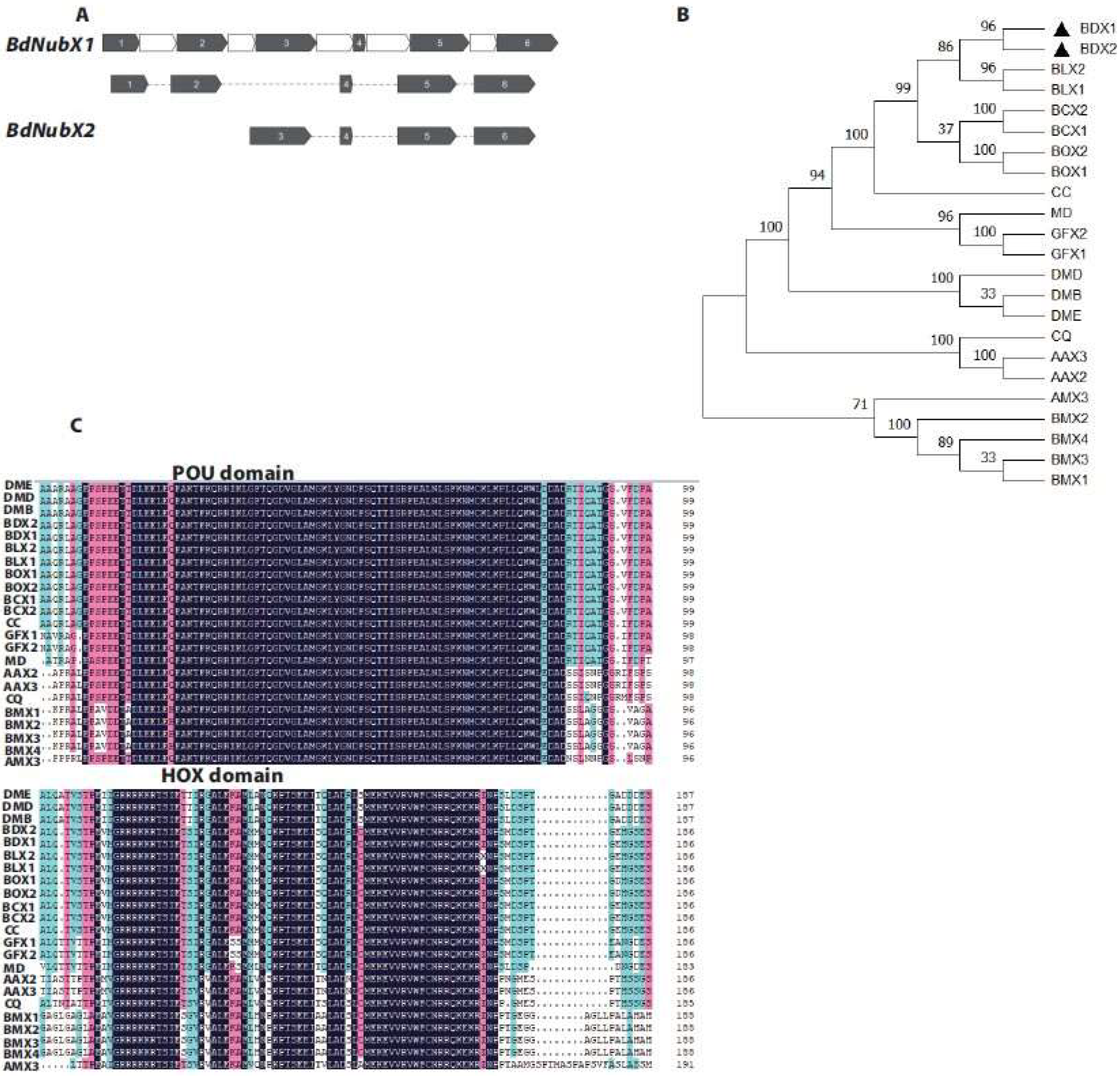 Insects 14 00178 g001 Insects 14 00178 g001
