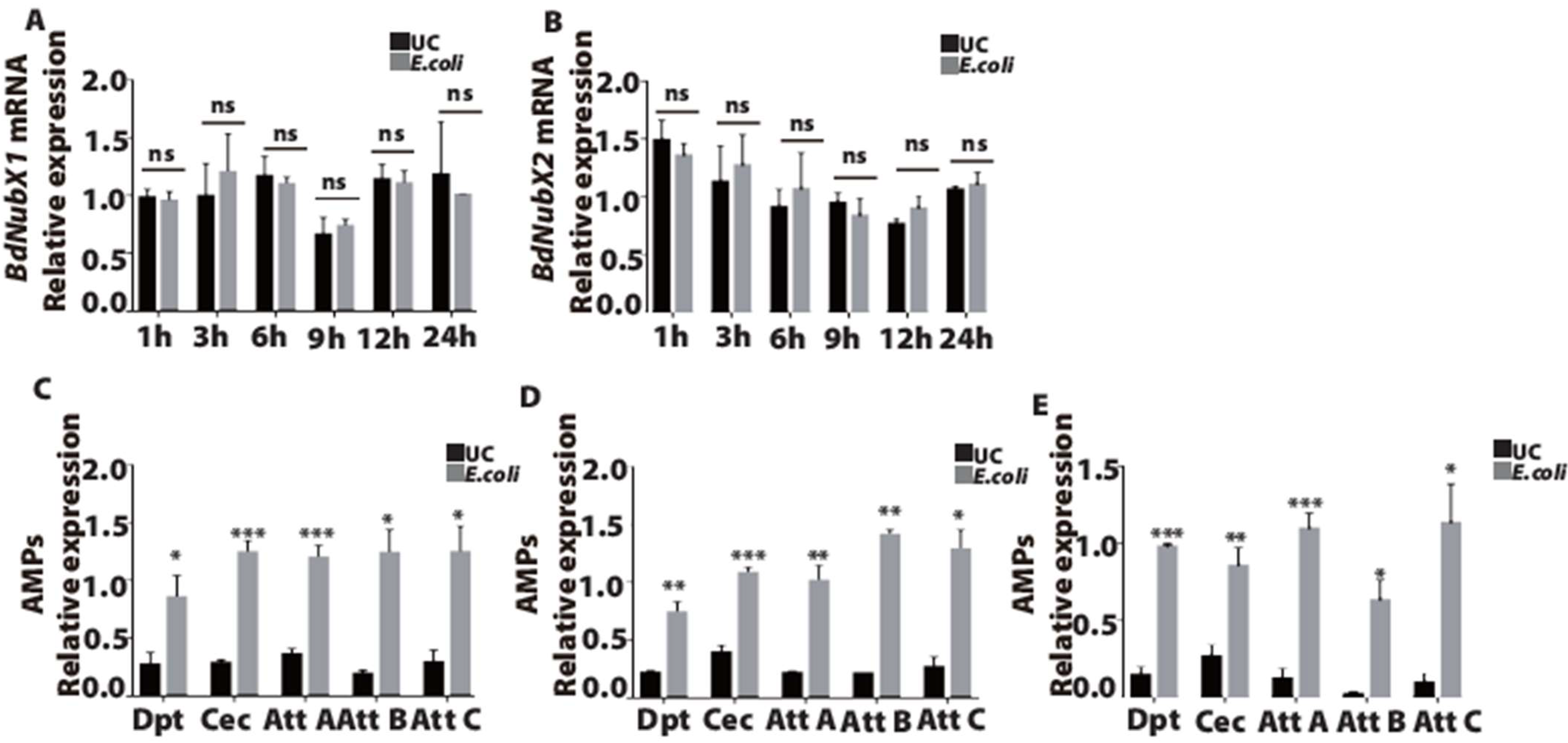 Insects 14 00178 g003 Insects 14 00178 g003