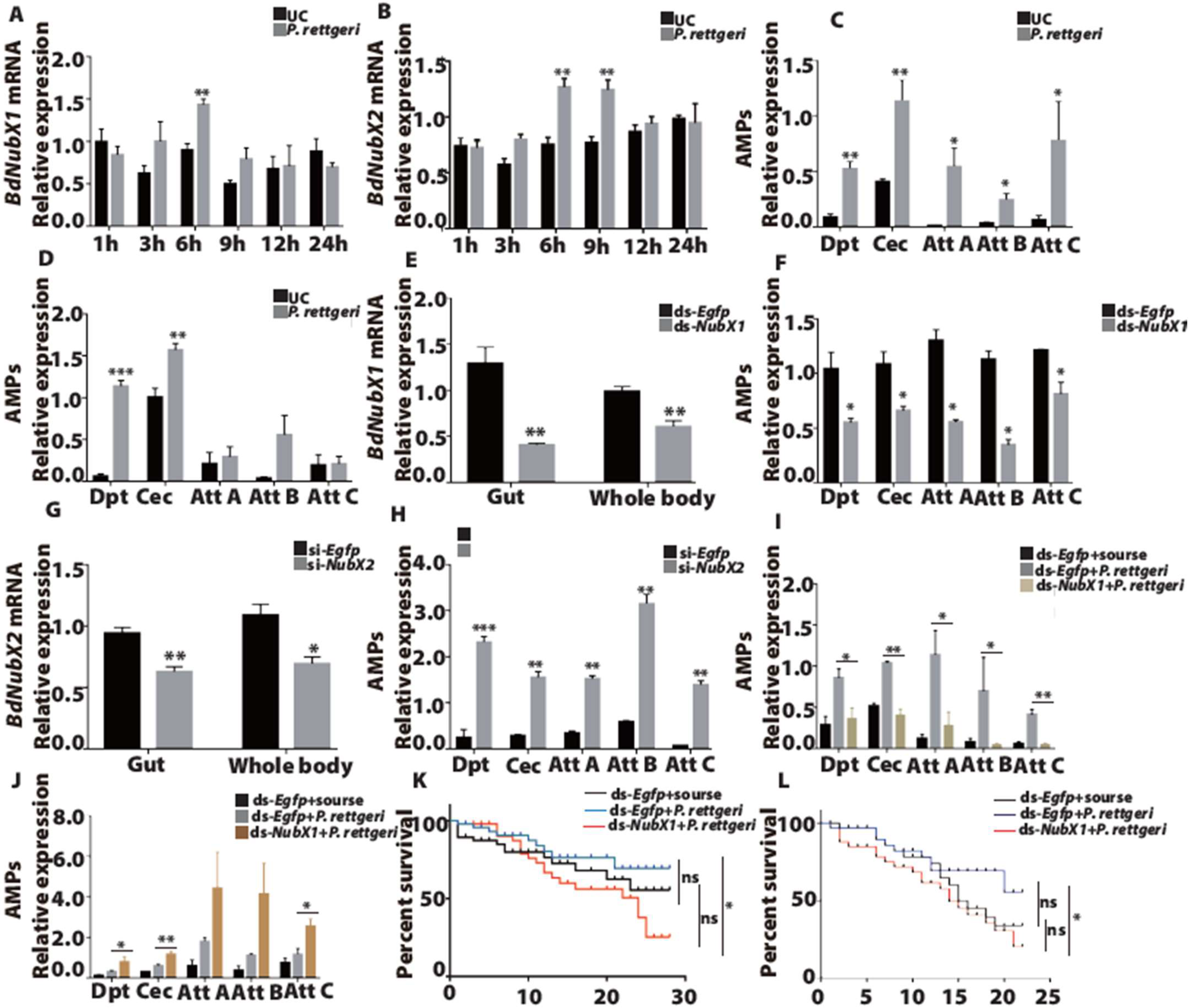 Insects 14 00178 g004 Insects 14 00178 g004