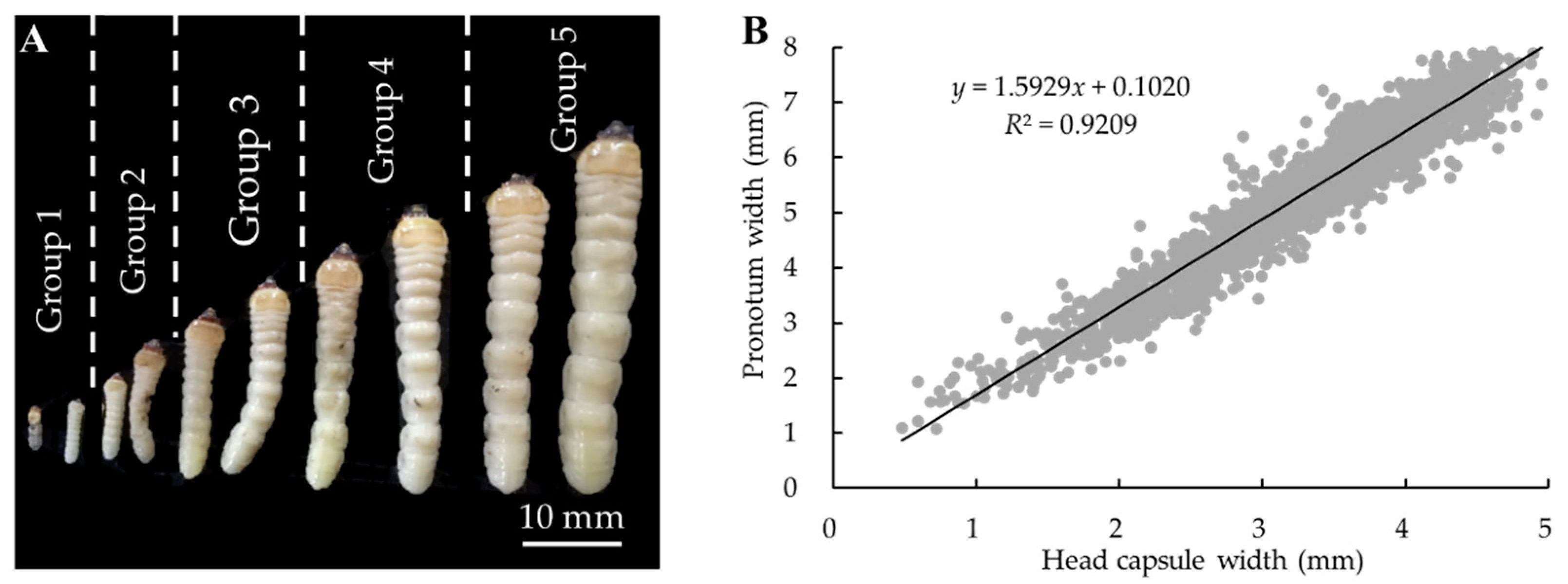 Insects 14 00181 g002 Insects 14 00181 g002