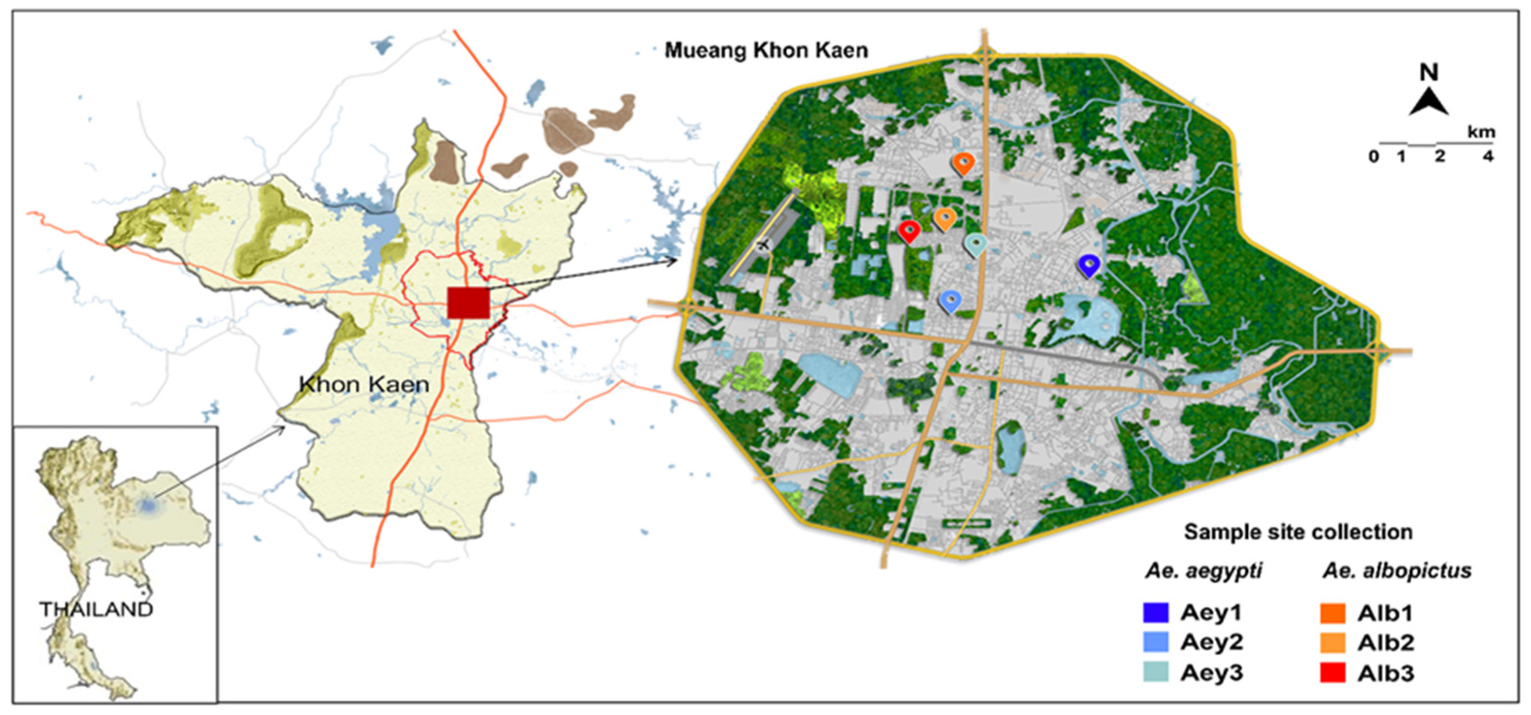 Insects 14 00184 g001