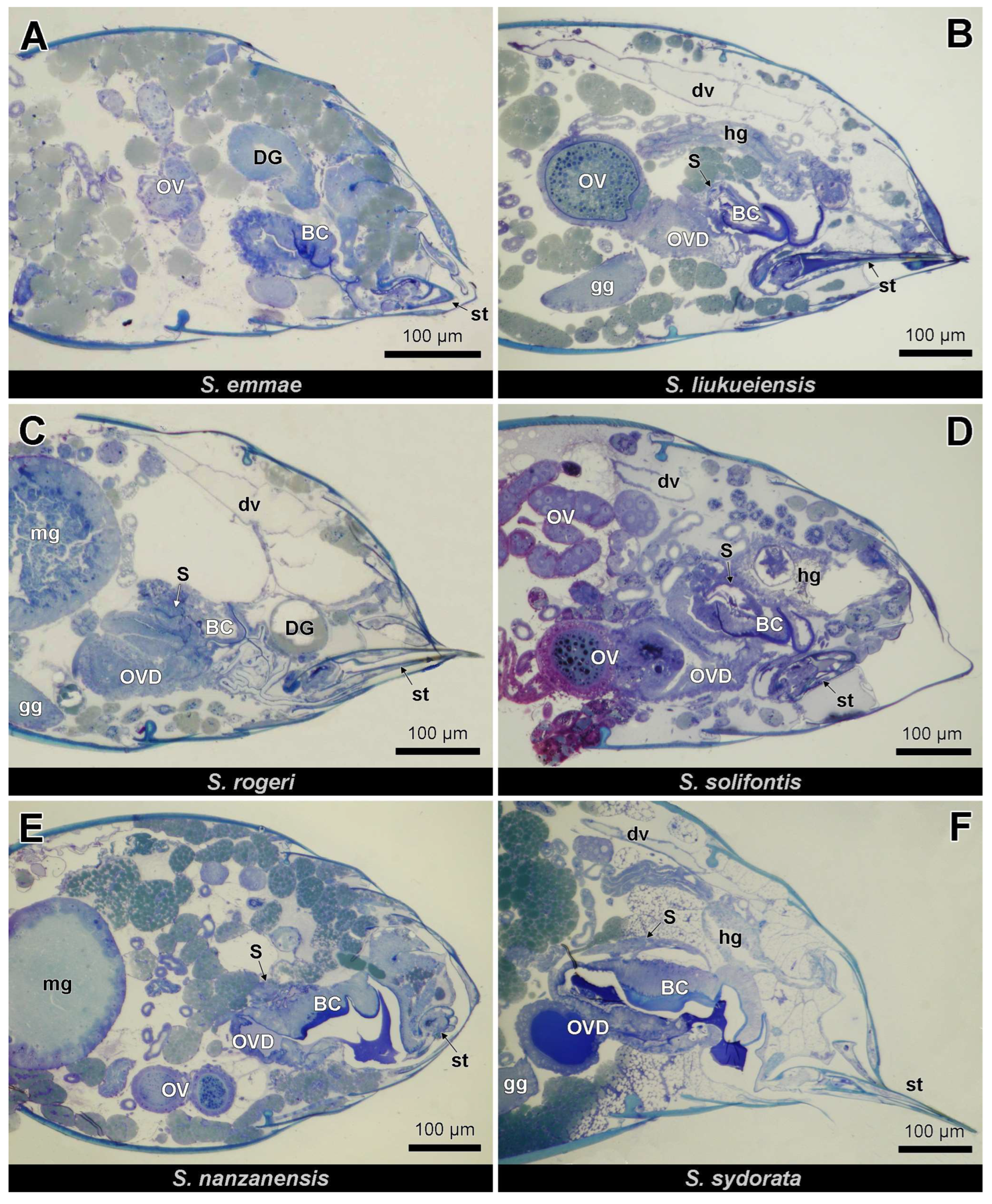 Insects 14 00195 g002 Insects 14 00195 g002
