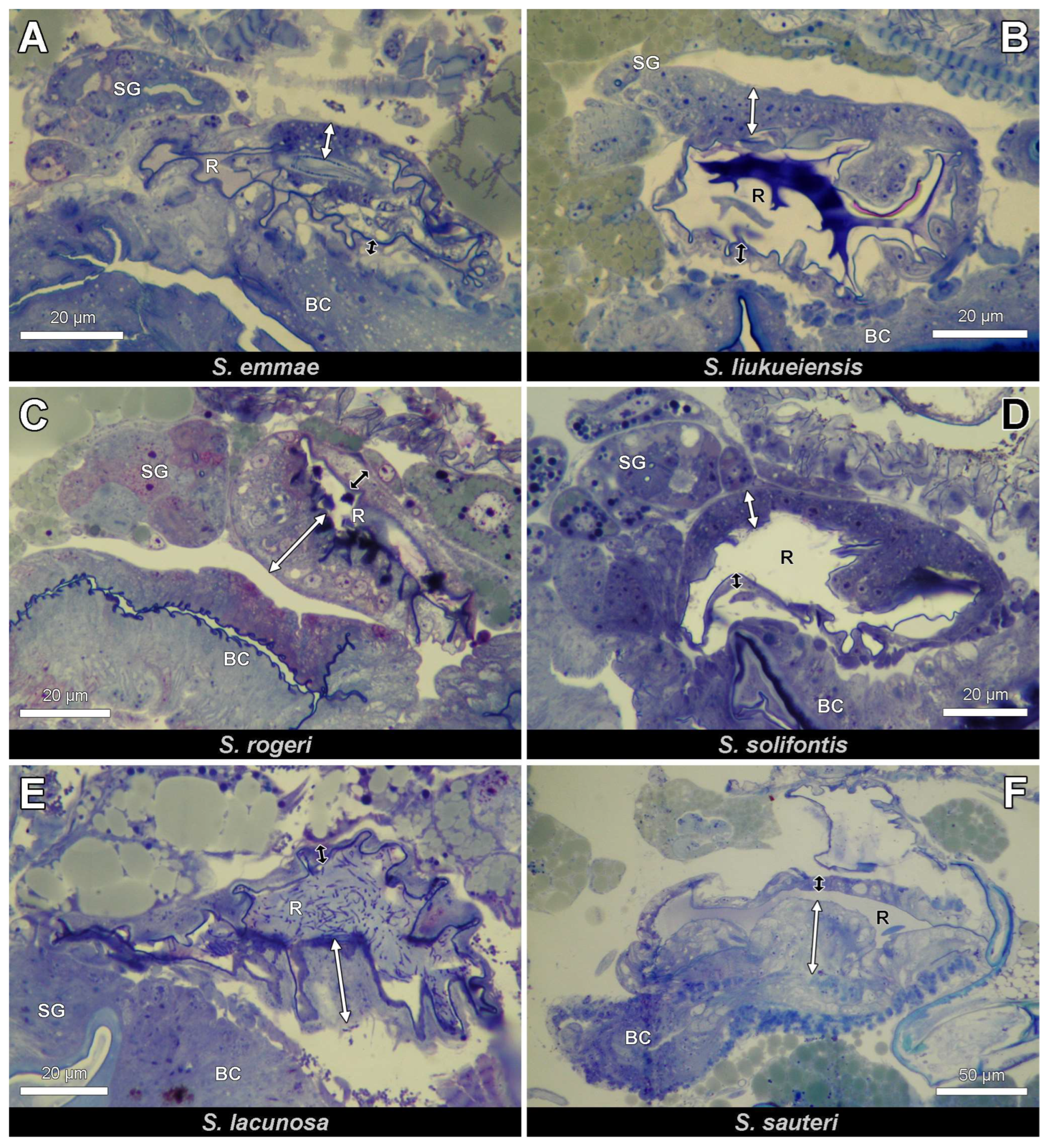 Insects 14 00195 g003 Insects 14 00195 g003