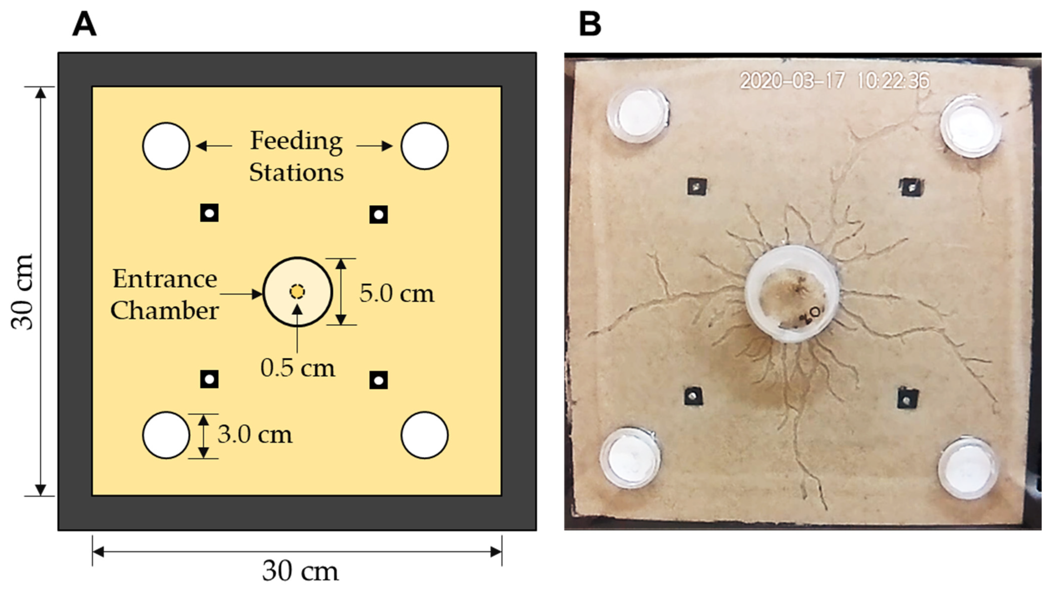 Insects 14 00198 g001 Insects 14 00198 g001