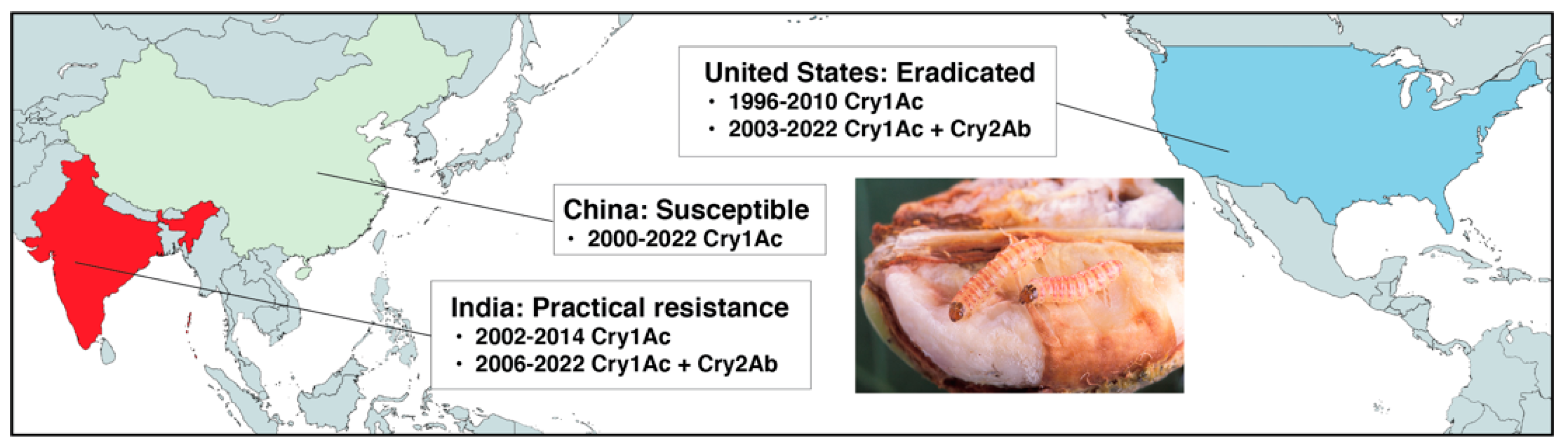 Insects 14 00201 g001 Insects 14 00201 g001