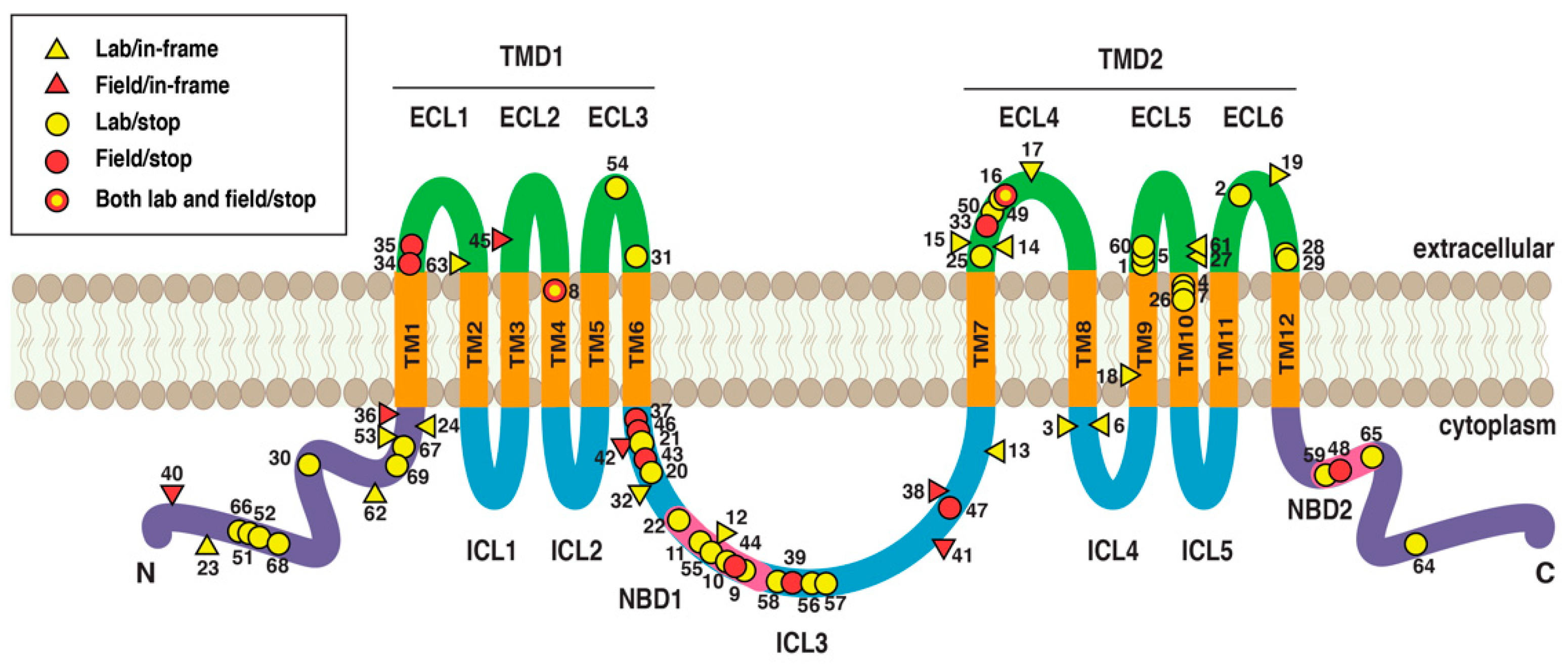 Insects 14 00201 g005 Insects 14 00201 g005