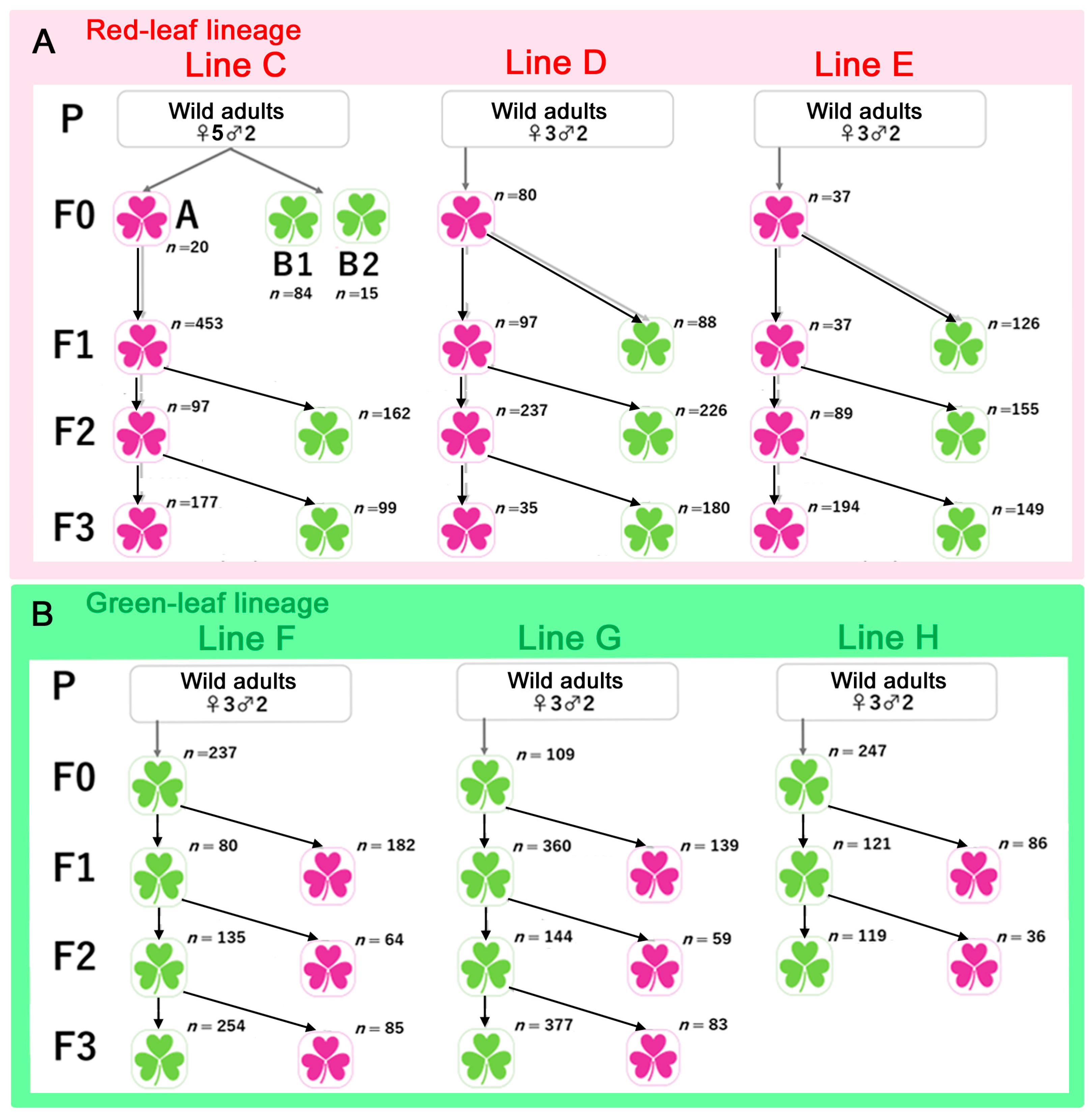 Insects 14 00202 g004 Insects 14 00202 g004