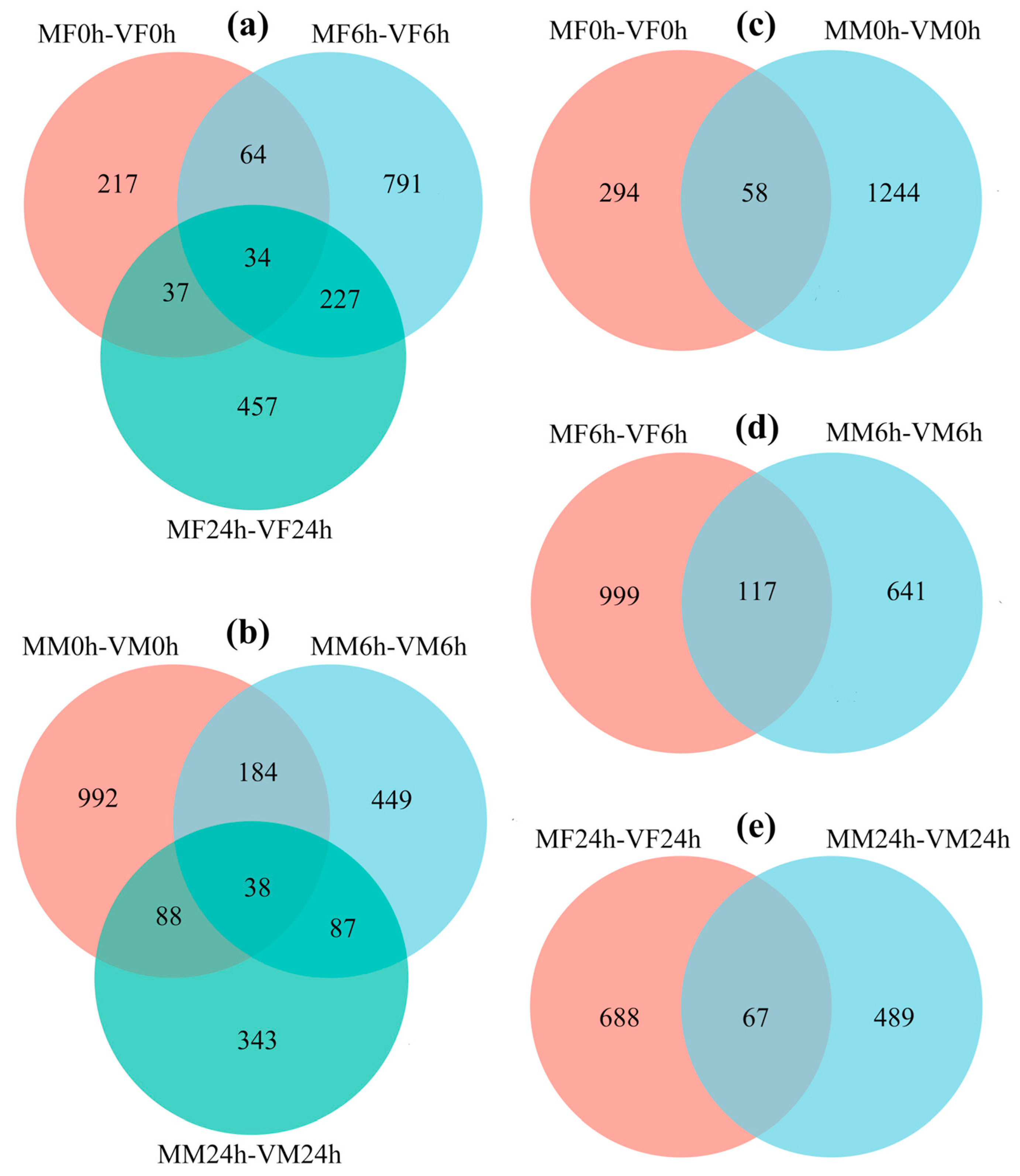 Insects 14 00209 g004 Insects 14 00209 g004