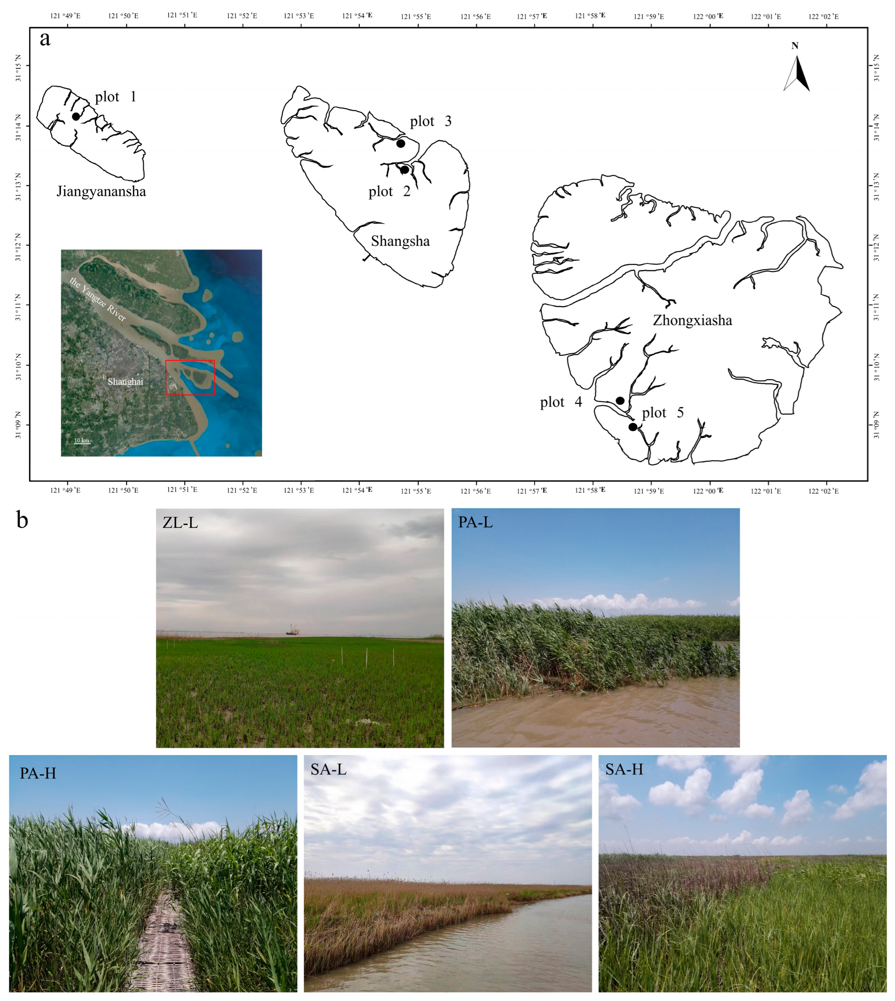 Insects 14 00210 g001