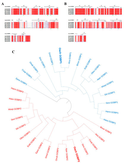 Gsob Insect Identification and Functional Characterization of General Odorant ...