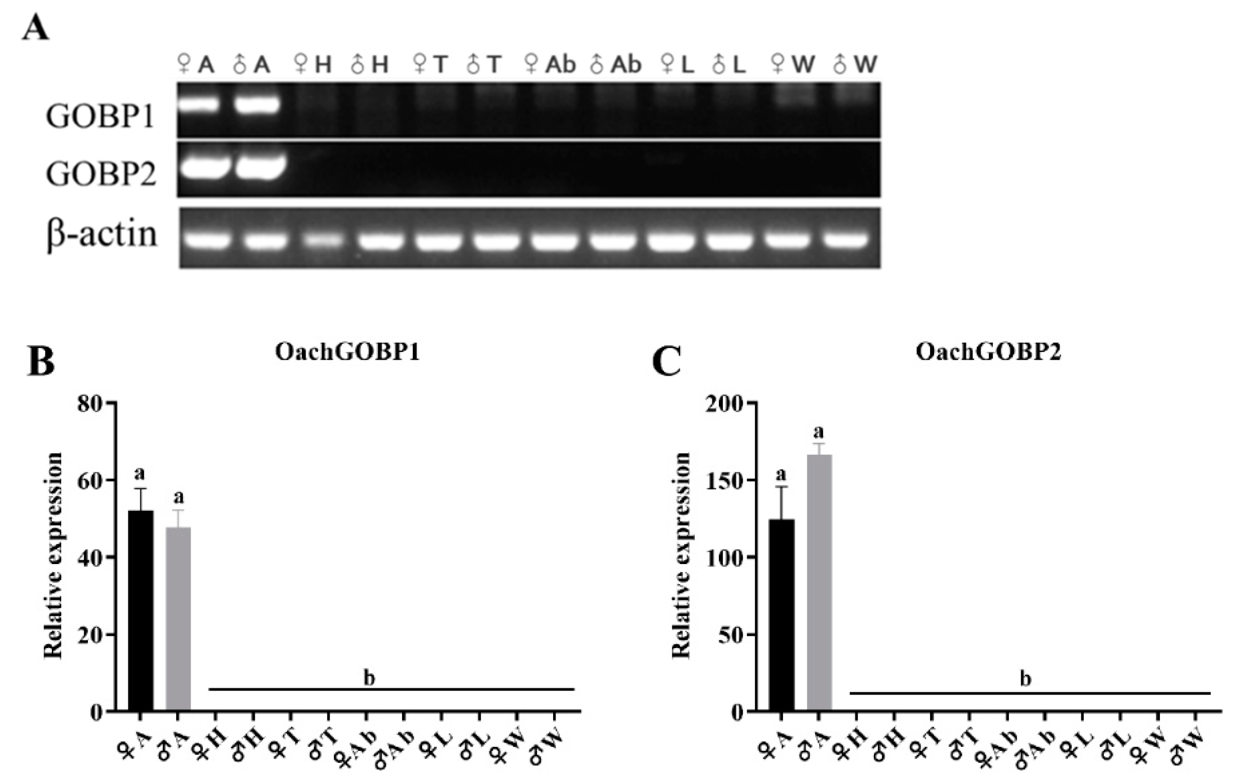 Insects 14 00216 g002 Insects 14 00216 g002