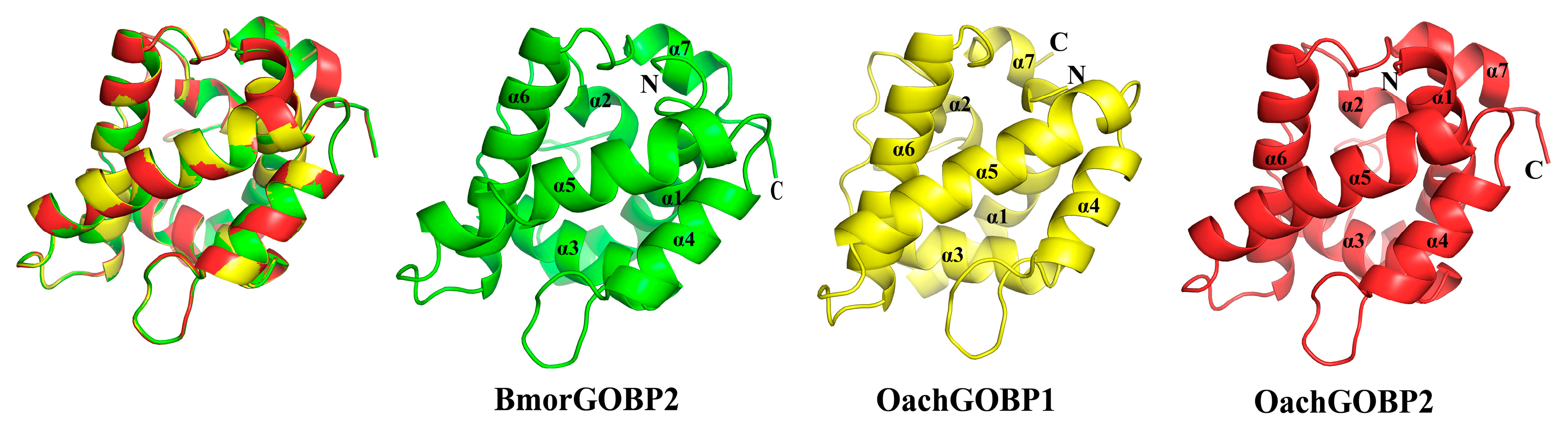 Insects 14 00216 g005 Insects 14 00216 g005