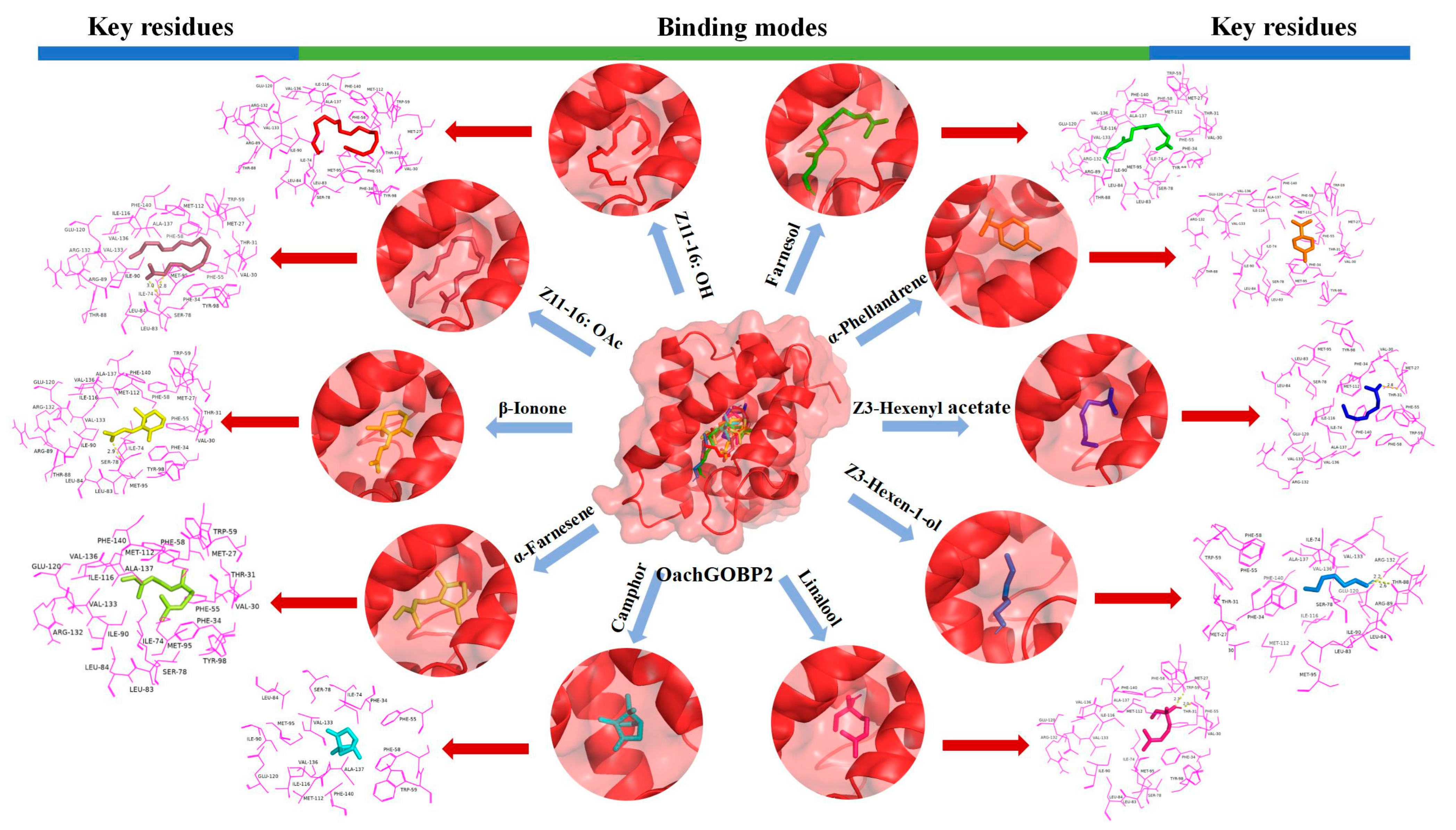 Insects 14 00216 g007 Insects 14 00216 g007