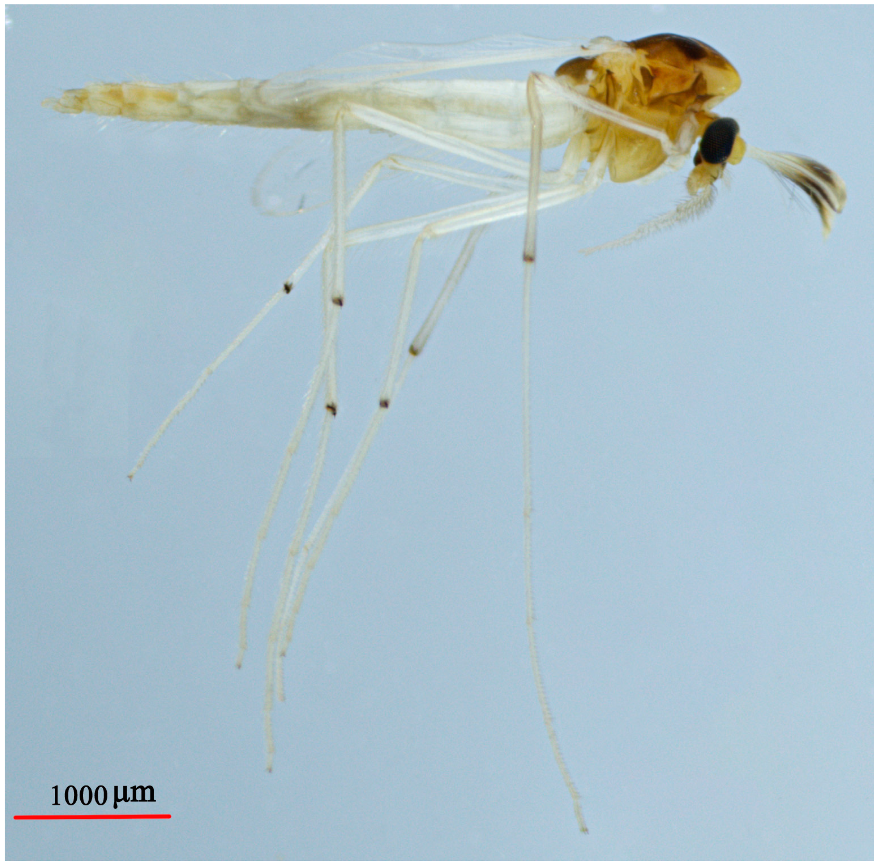 Insects 14 00227 g004 Insects 14 00227 g004