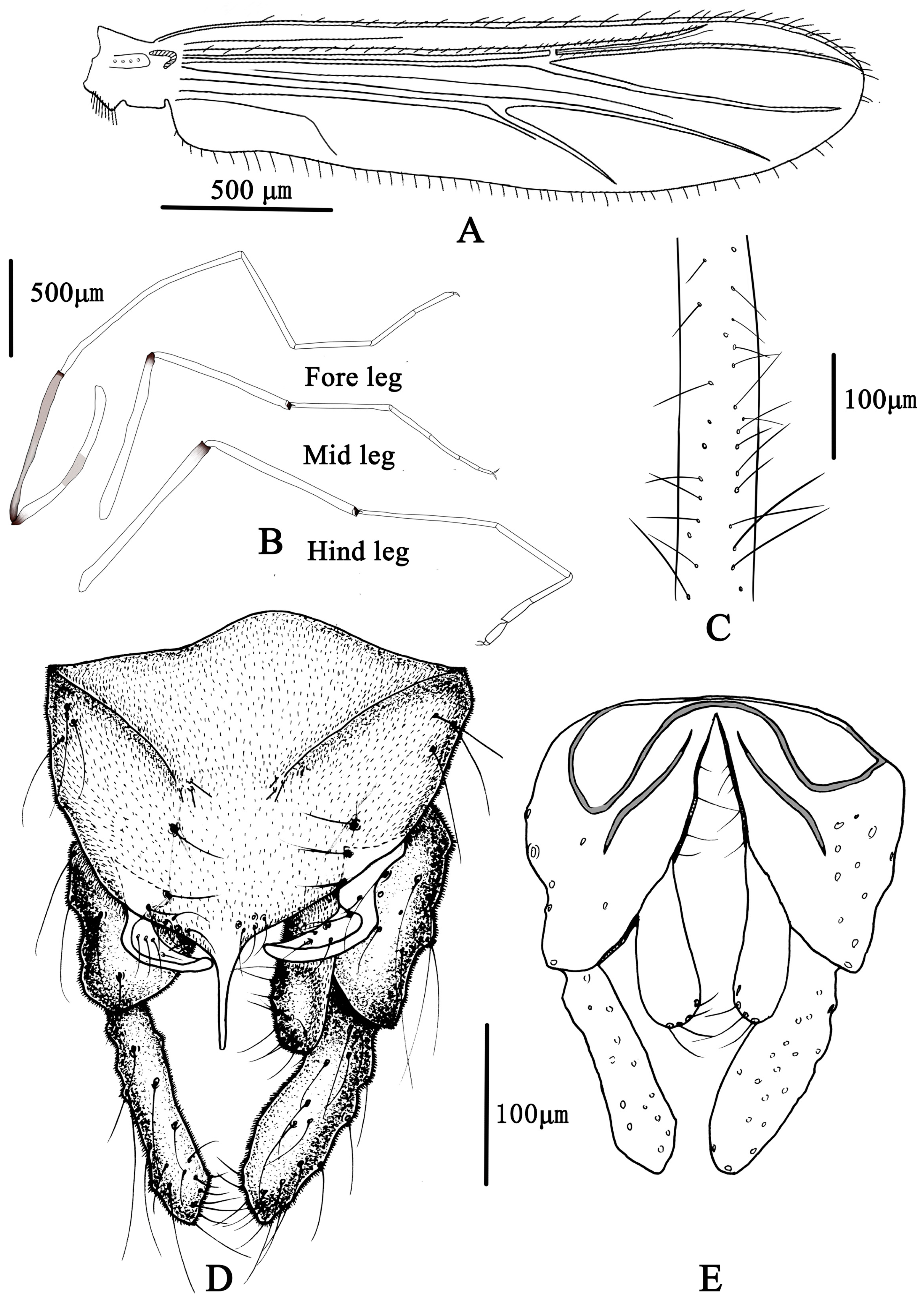 Insects 14 00227 g005 Insects 14 00227 g005