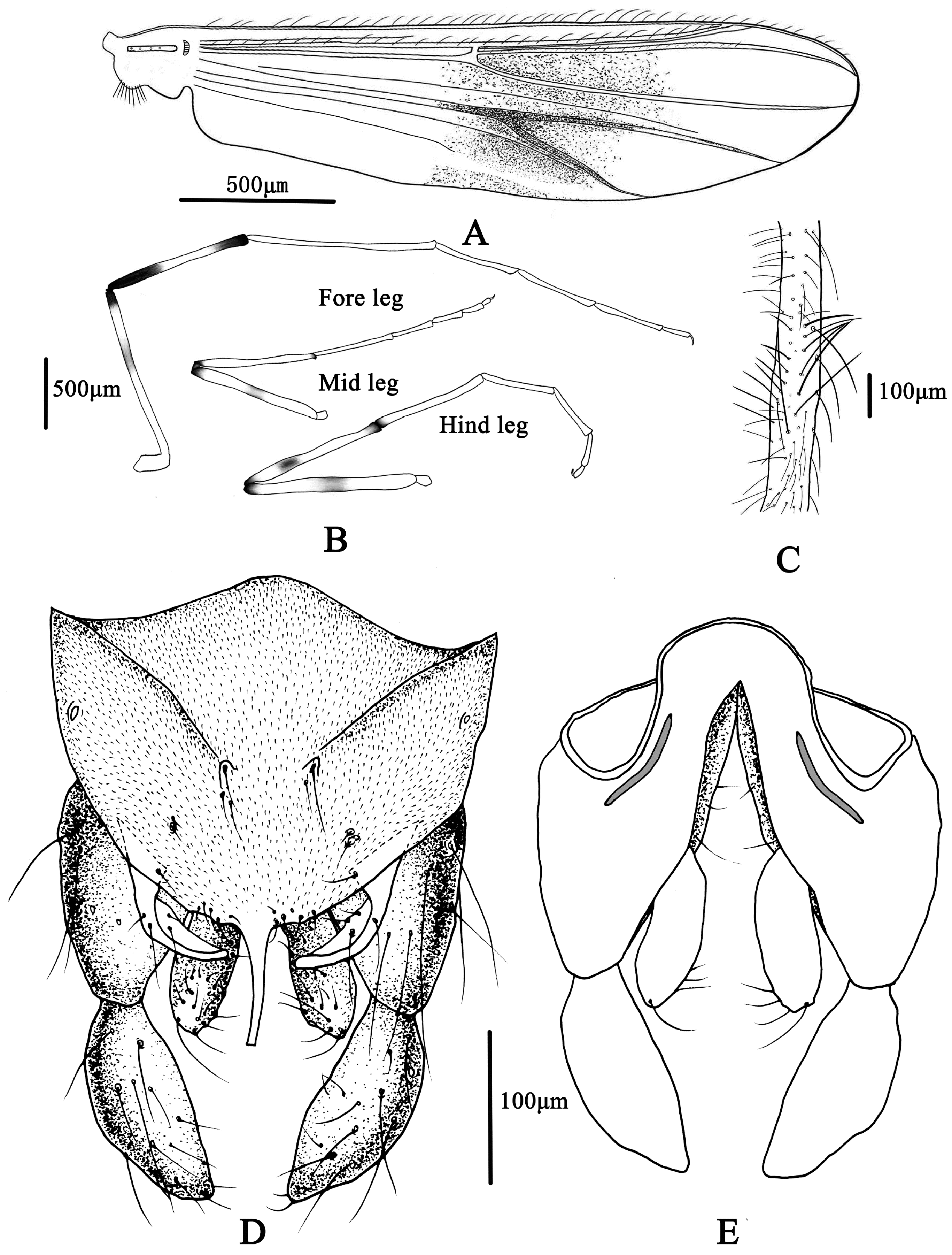 Insects 14 00227 g007 Insects 14 00227 g007