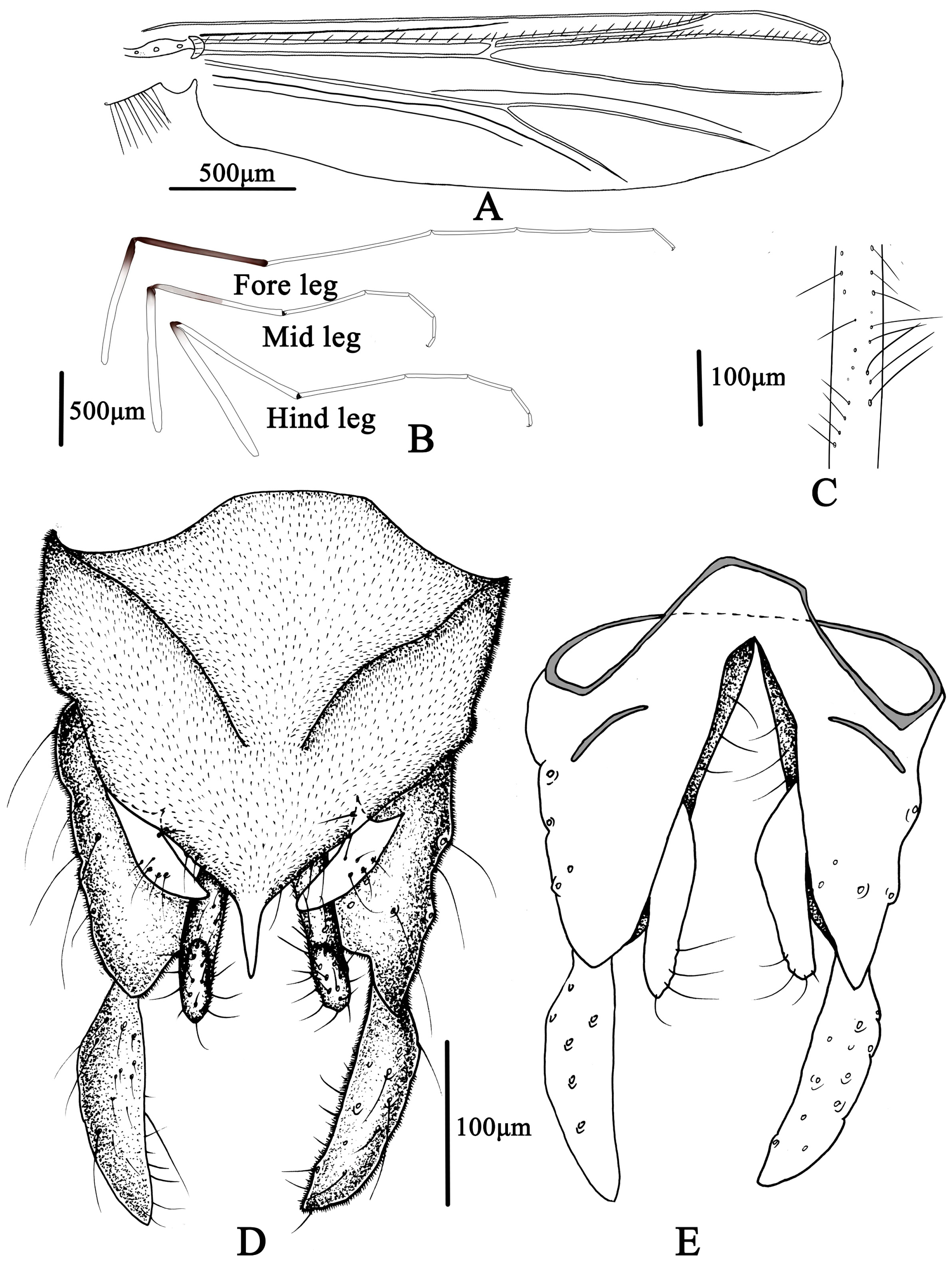Insects 14 00227 g009 Insects 14 00227 g009