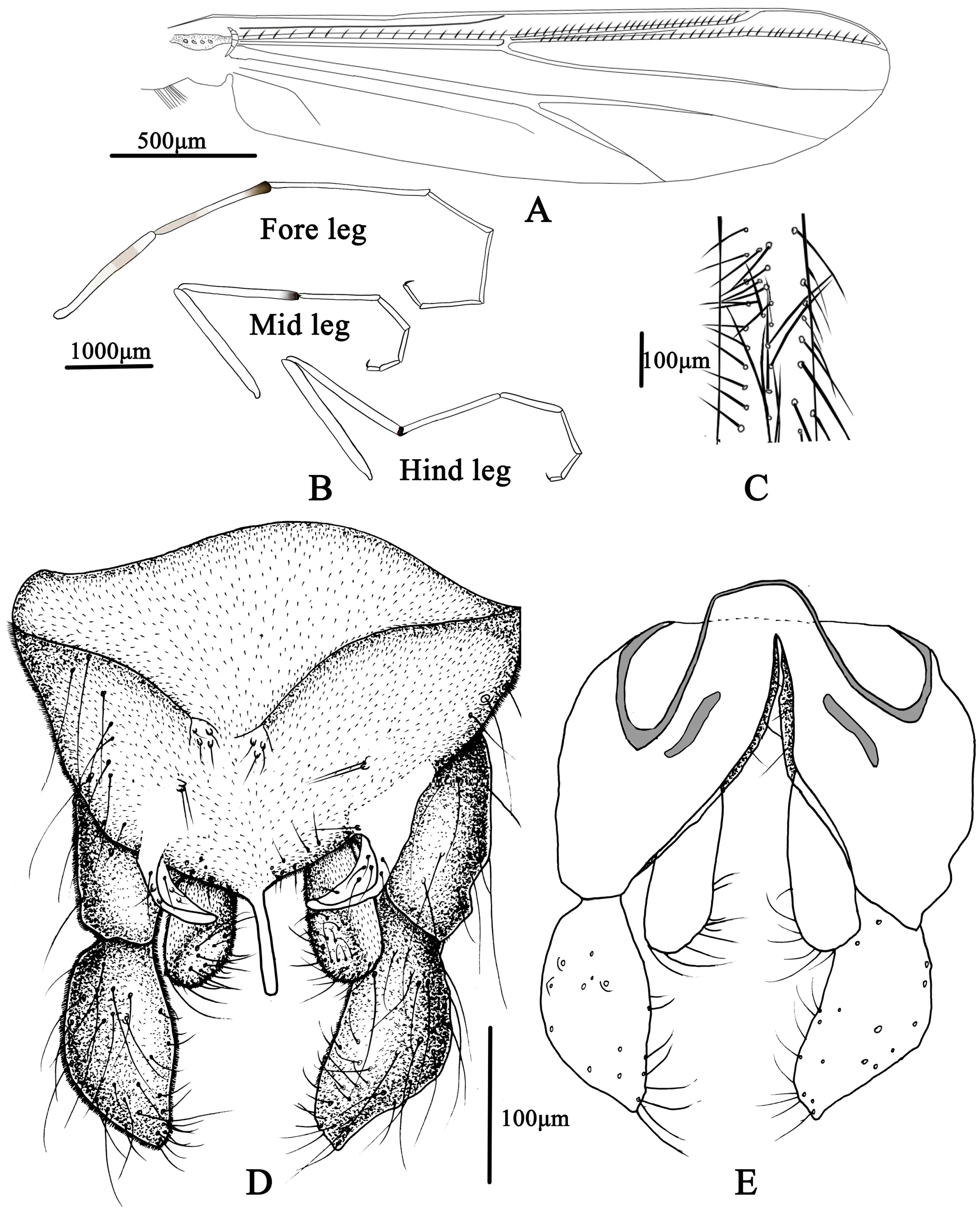 Insects 14 00227 g011 Insects 14 00227 g011