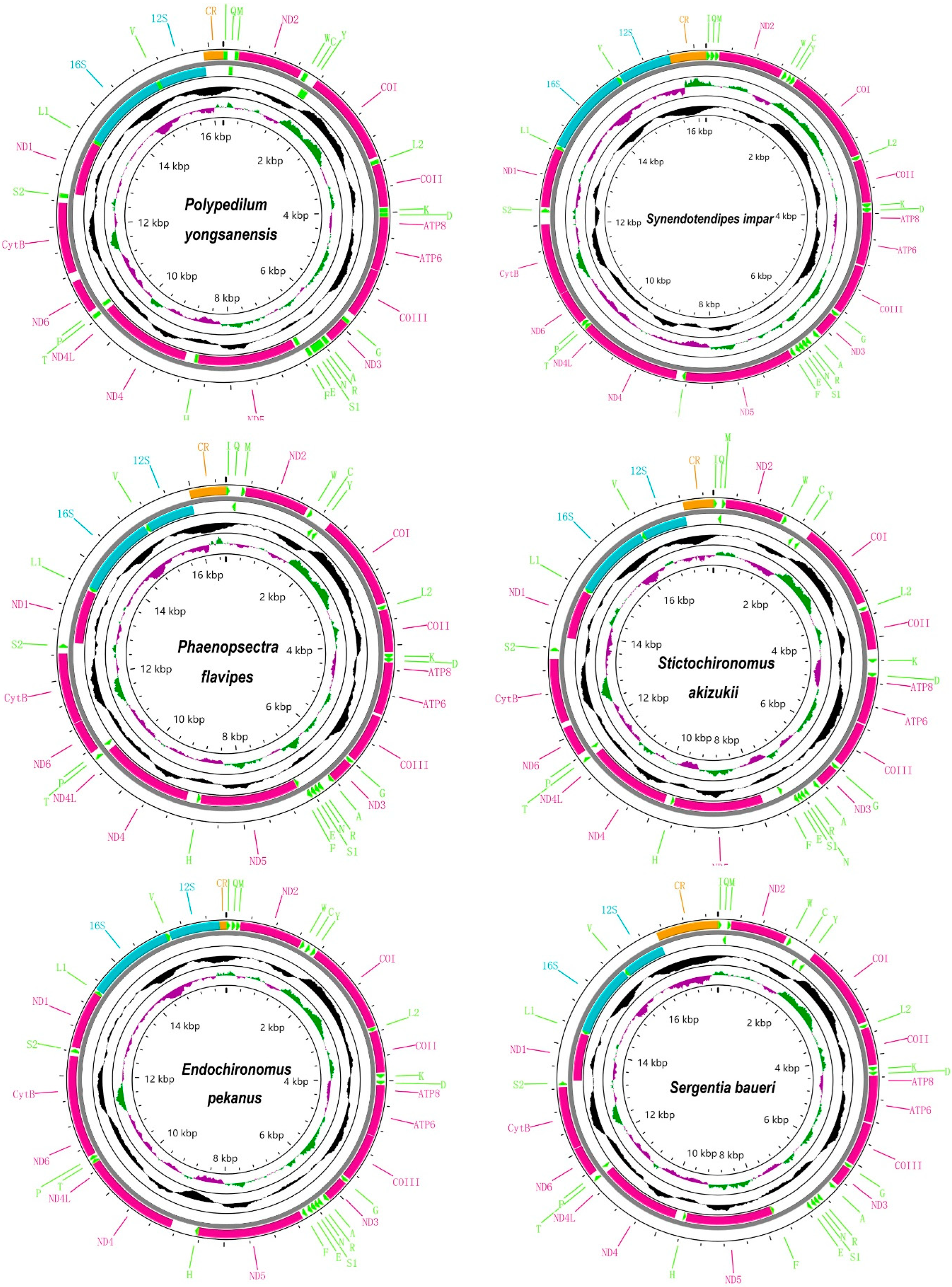 Insects 14 00238 g001