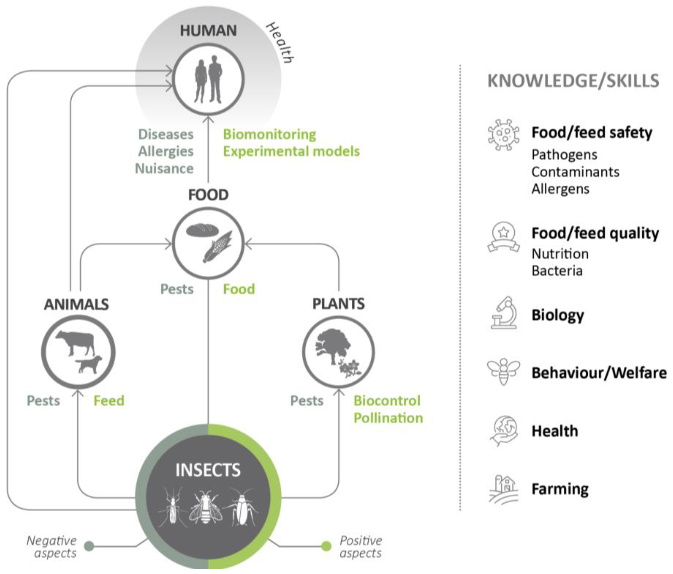 Insects 14 00240 g001